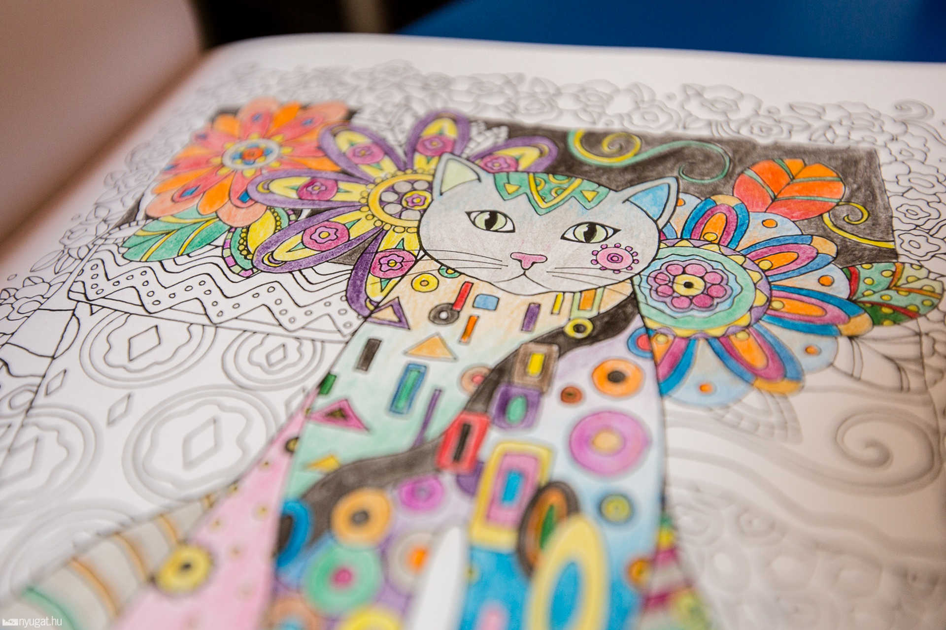 Színezők