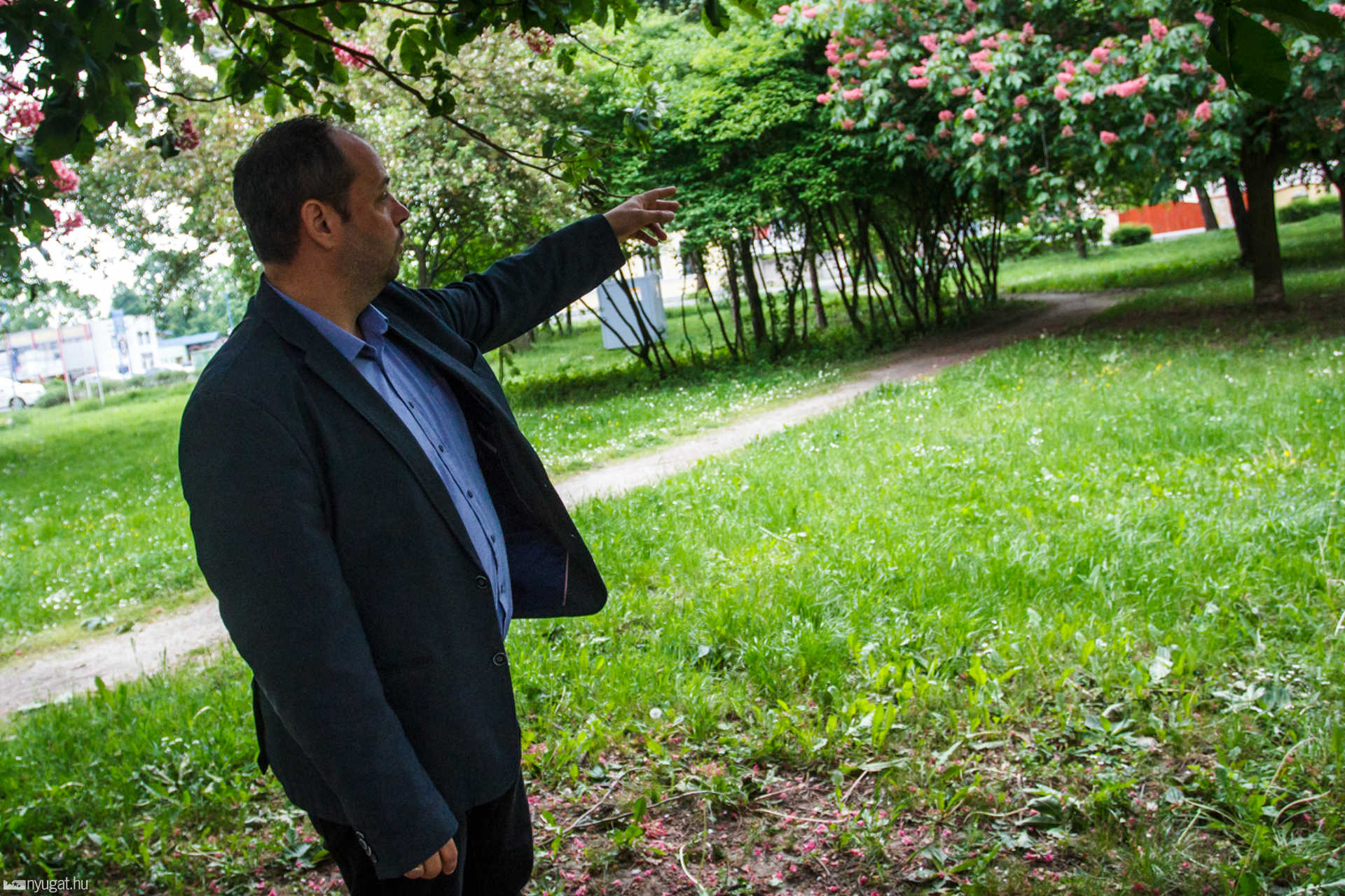 Több parkolót az oladi lakótelepre
