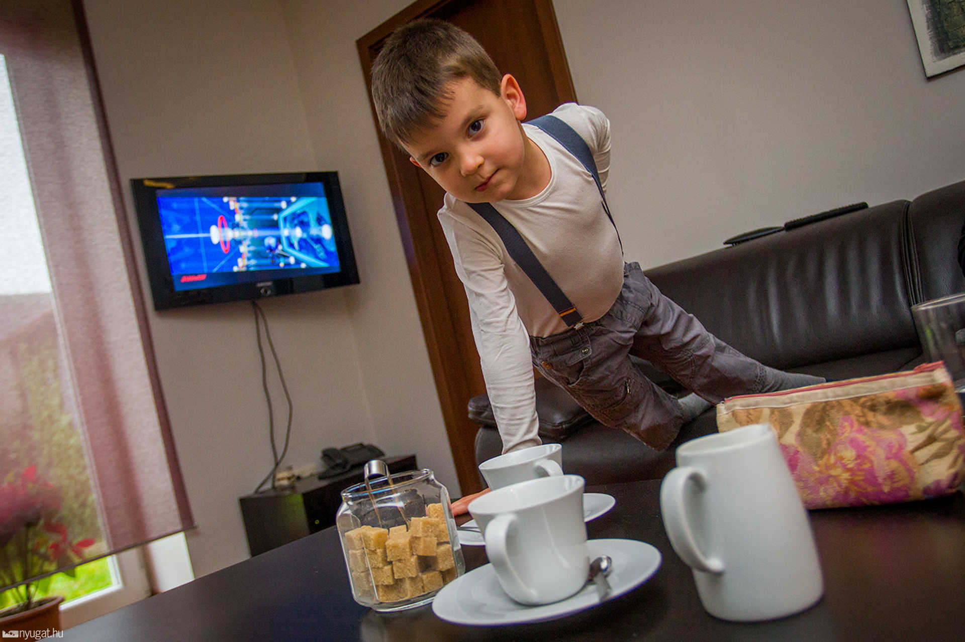 Bálint Éva és Szabó Tibor otthonában jártunk