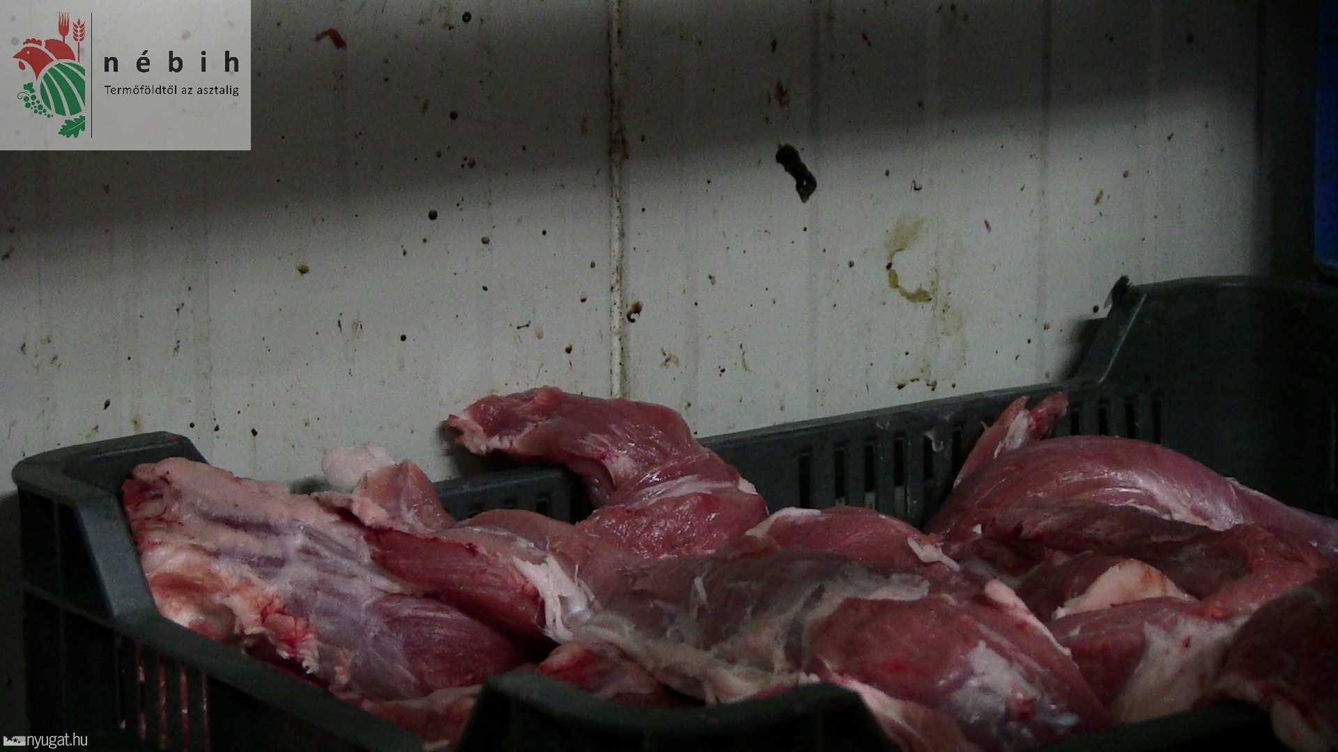 Borzalmas állapotok egy szabolcsi húsüzemből