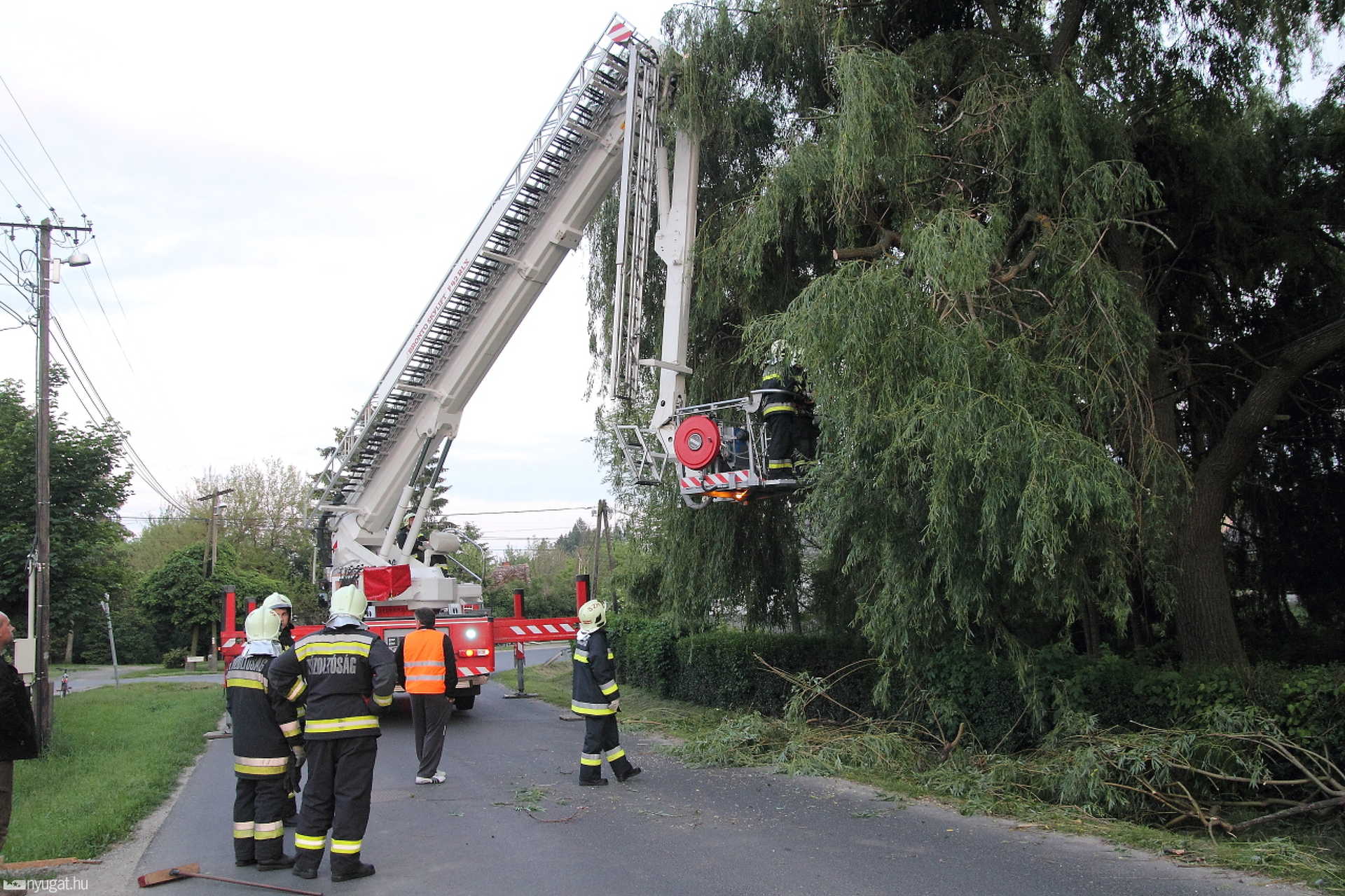 Faág dőlt a telefonkábelekre Jákon