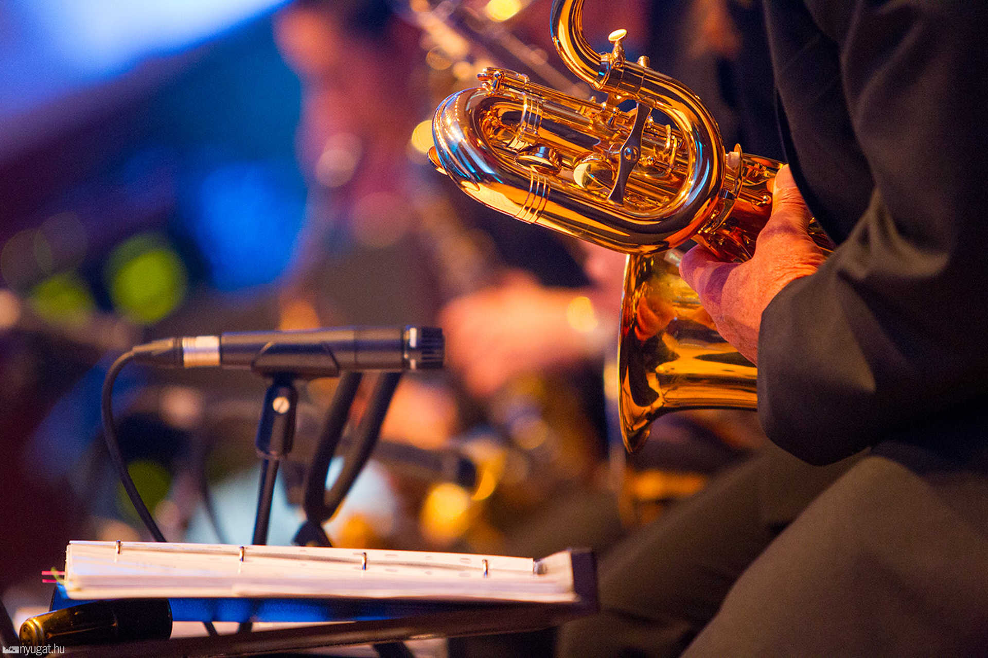 Frank Sinatra élete és munkássága (Isis Big Band - A swing nagyjai) 