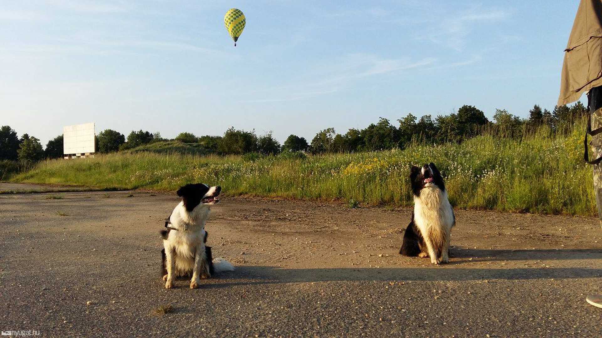 Olvasói fotók a szombathelyi hőlégballonokról