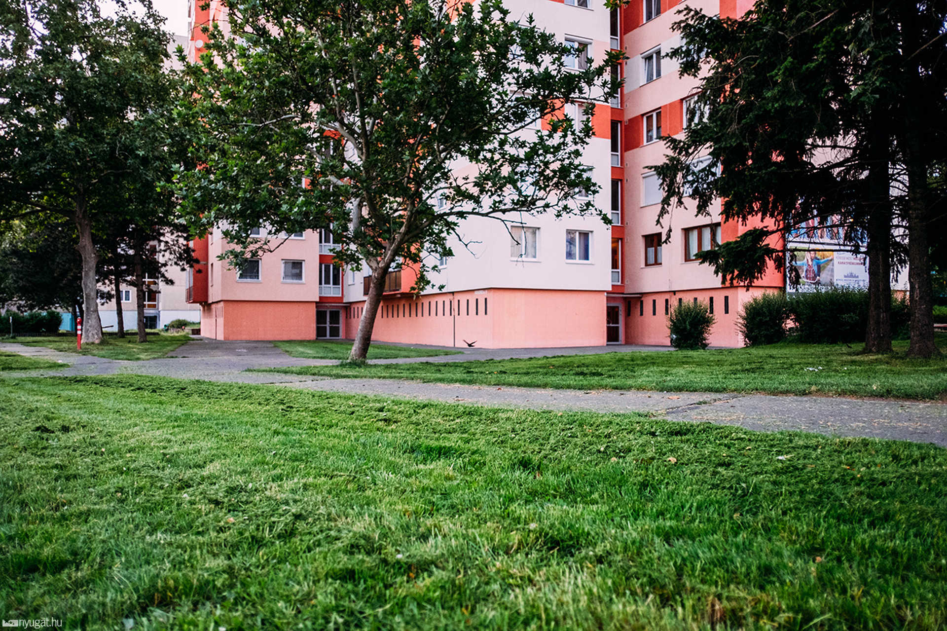 Lakossági fűnyírás a Derkovits lakótelepen