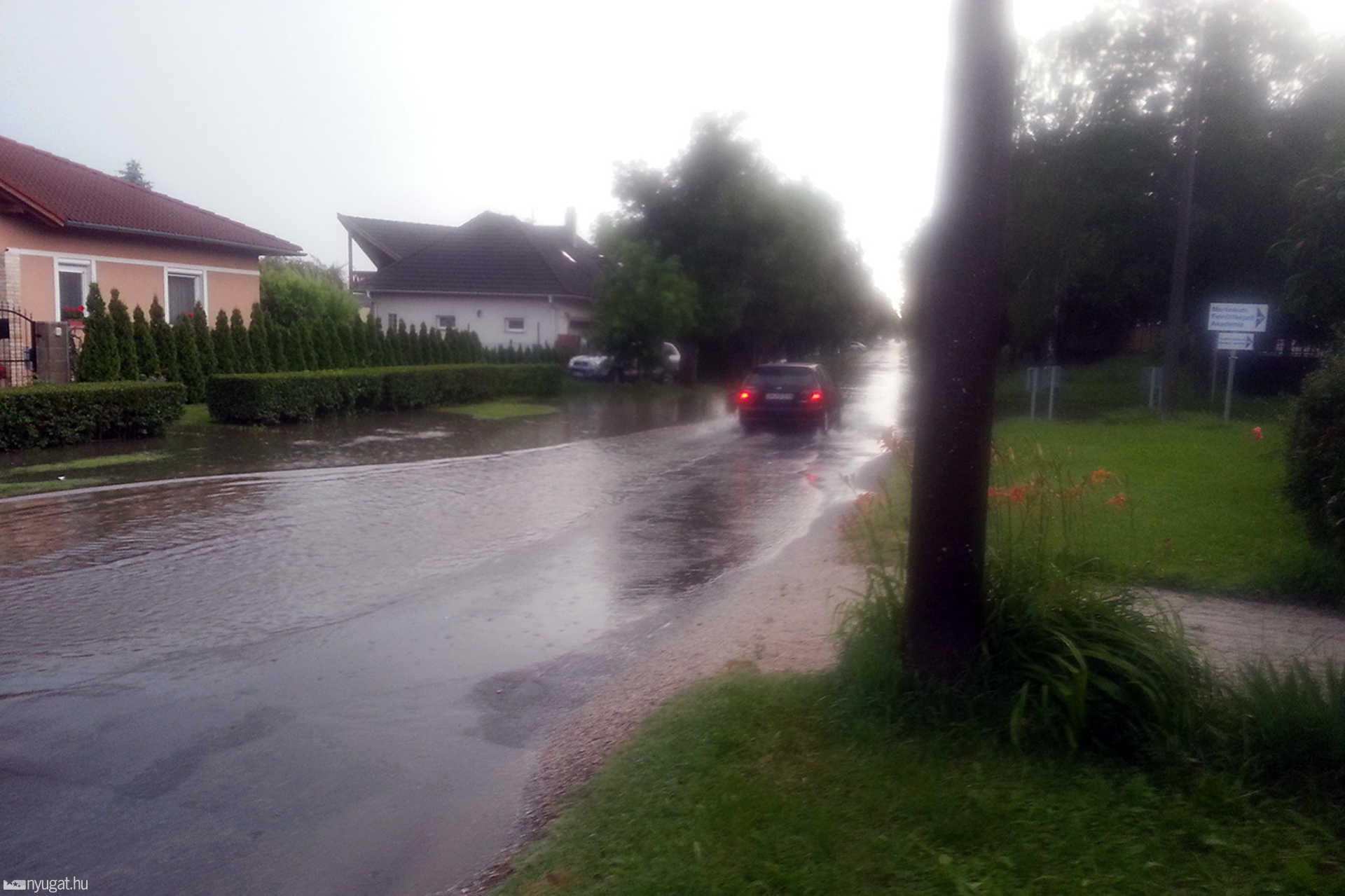 Erdei iskola utca