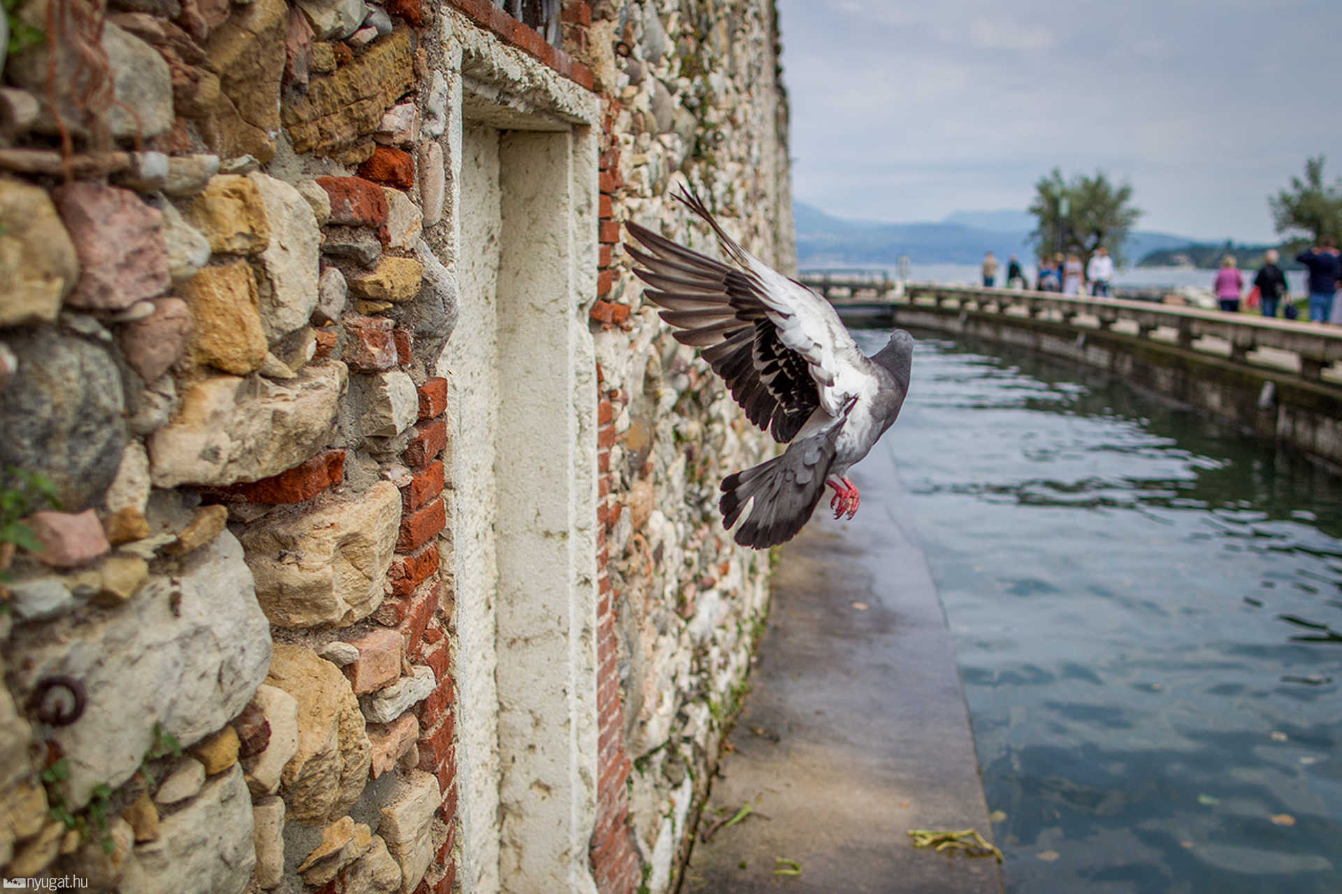 Salo - Garda tó