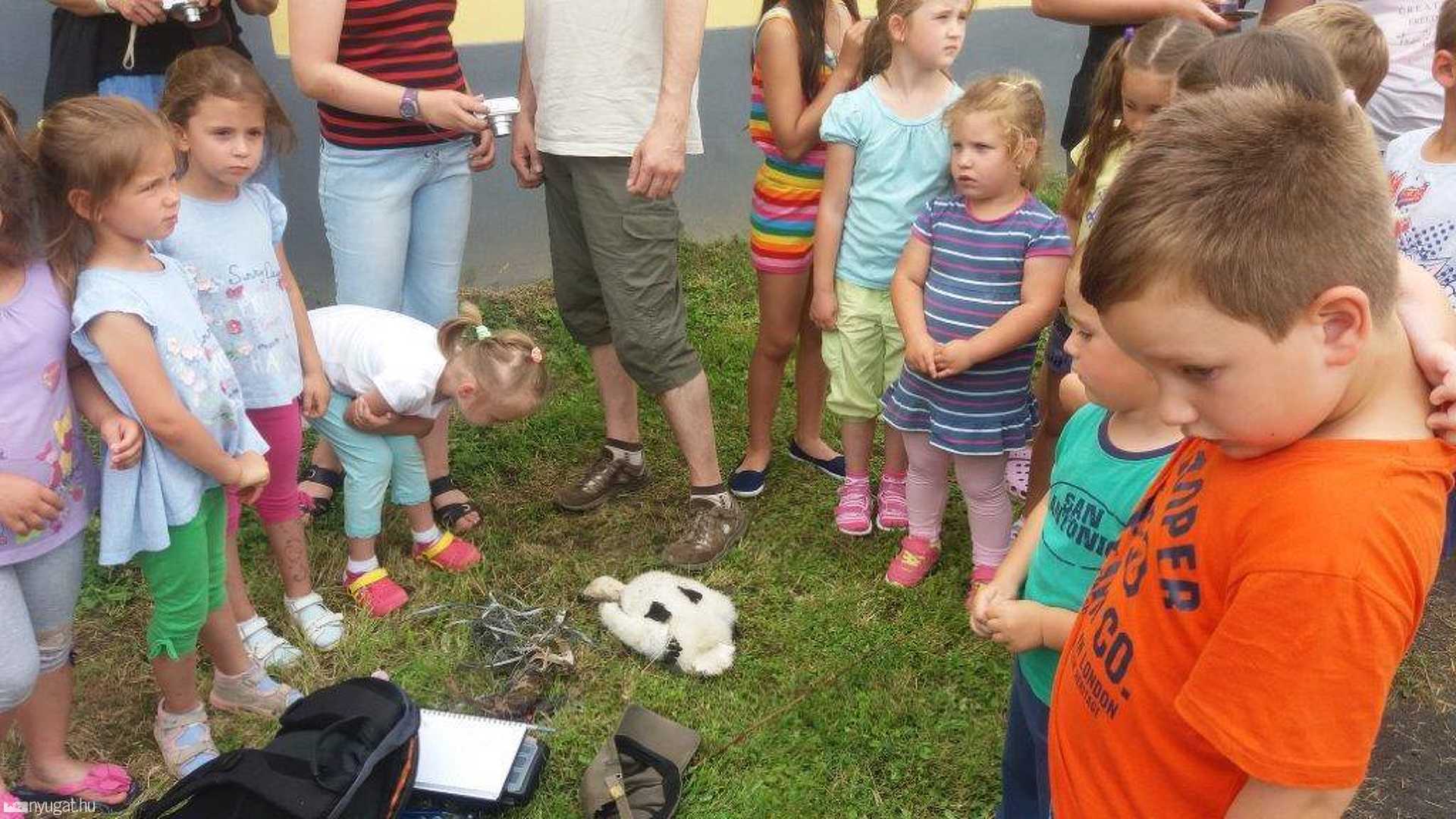 Gólyagyűrűzés Csényén