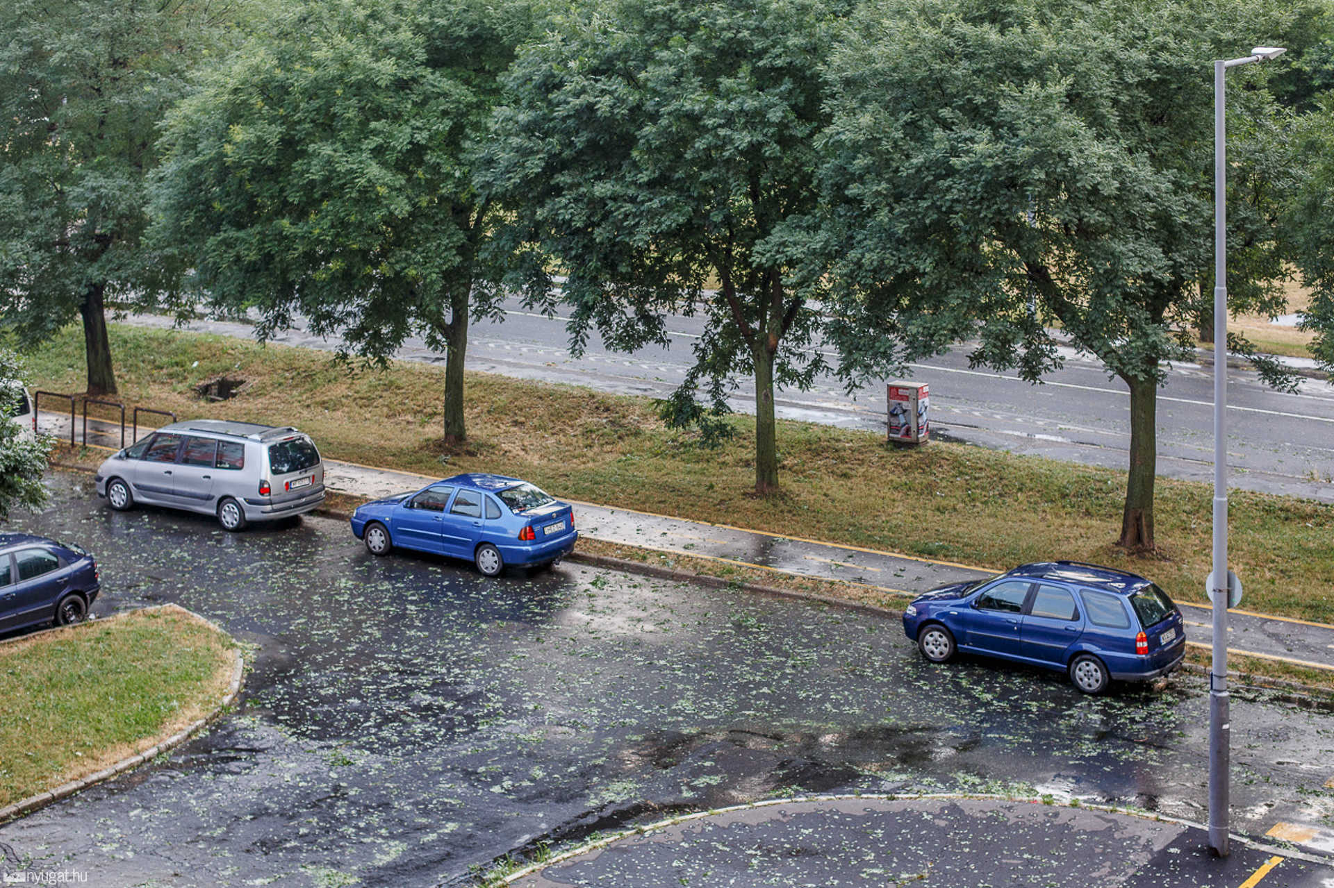 Vihar után a levert levelek