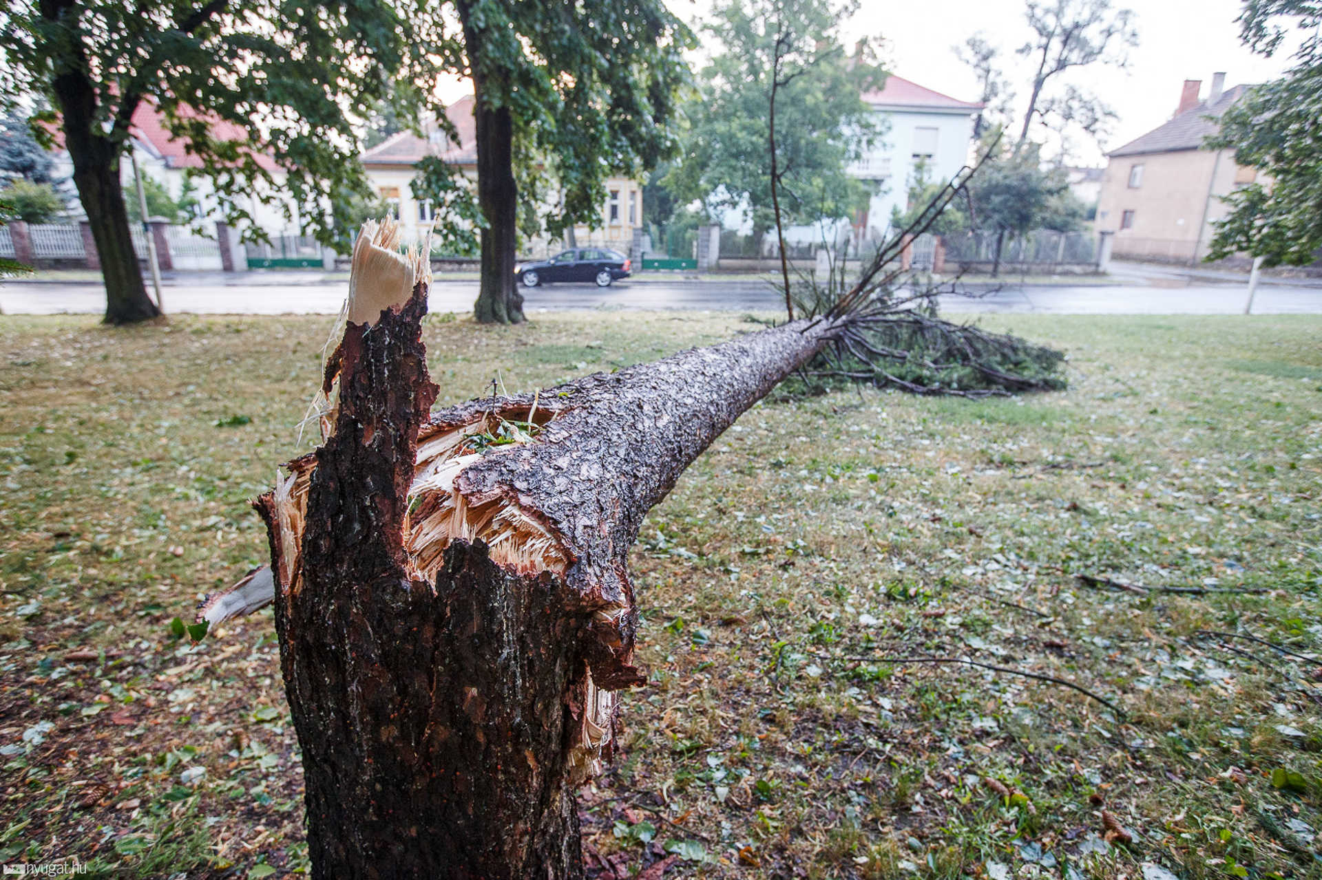 Így pusztított a vihar Szombathelyen