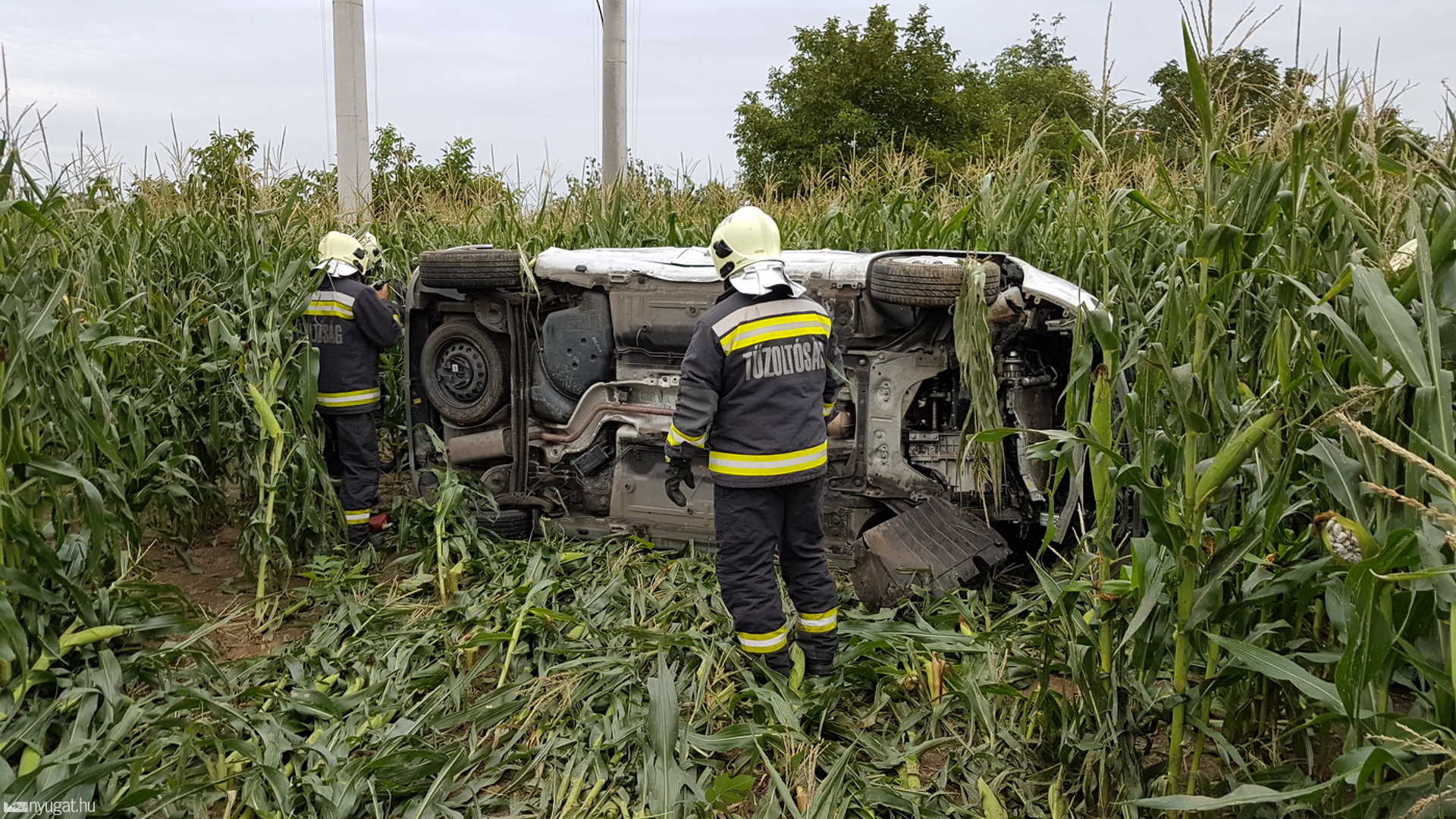 Kukoricásba csapódott egy Renault Szombathely határában
