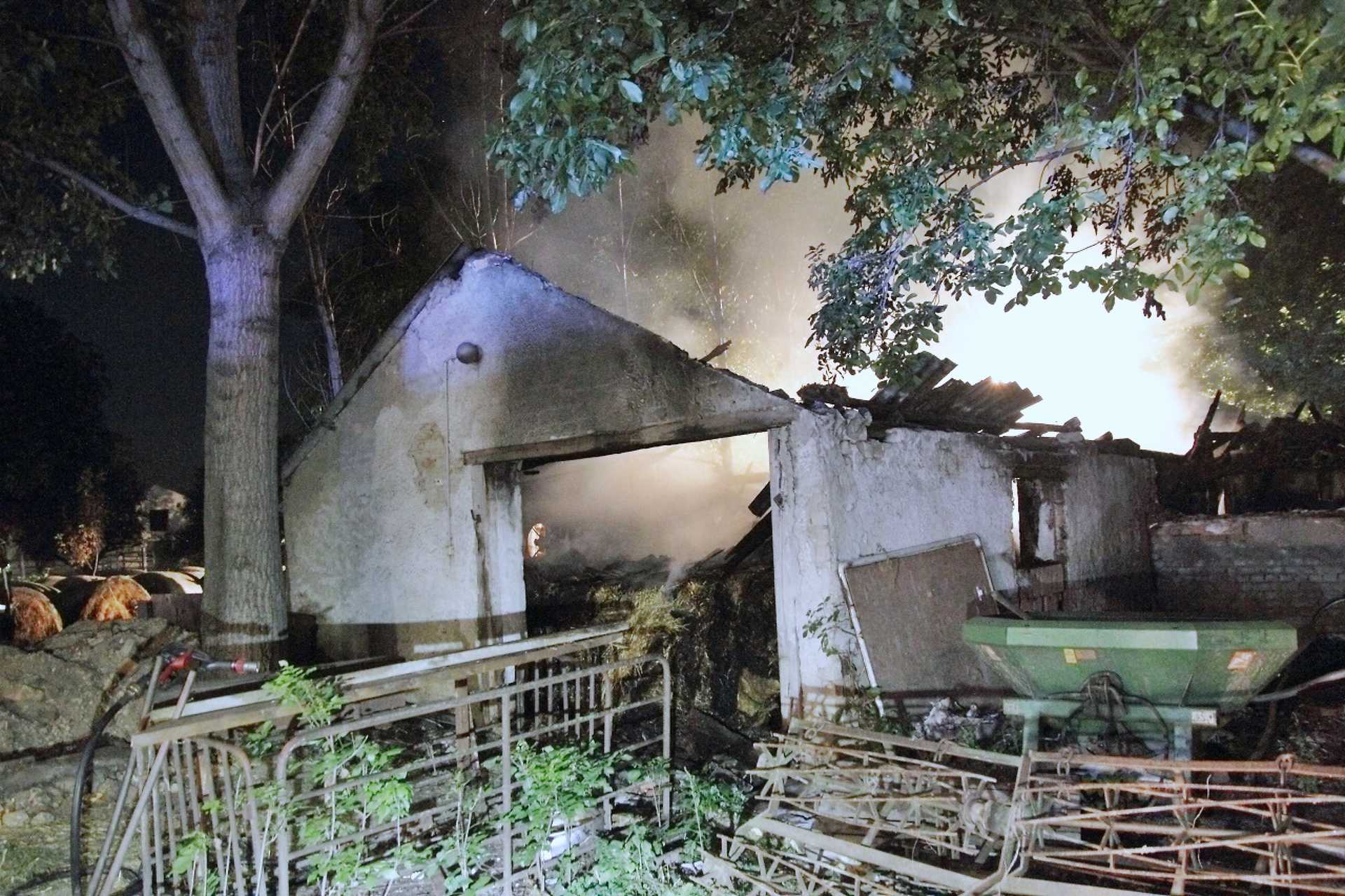 12 sertés elpusztult a hajnali tűzben Bőben