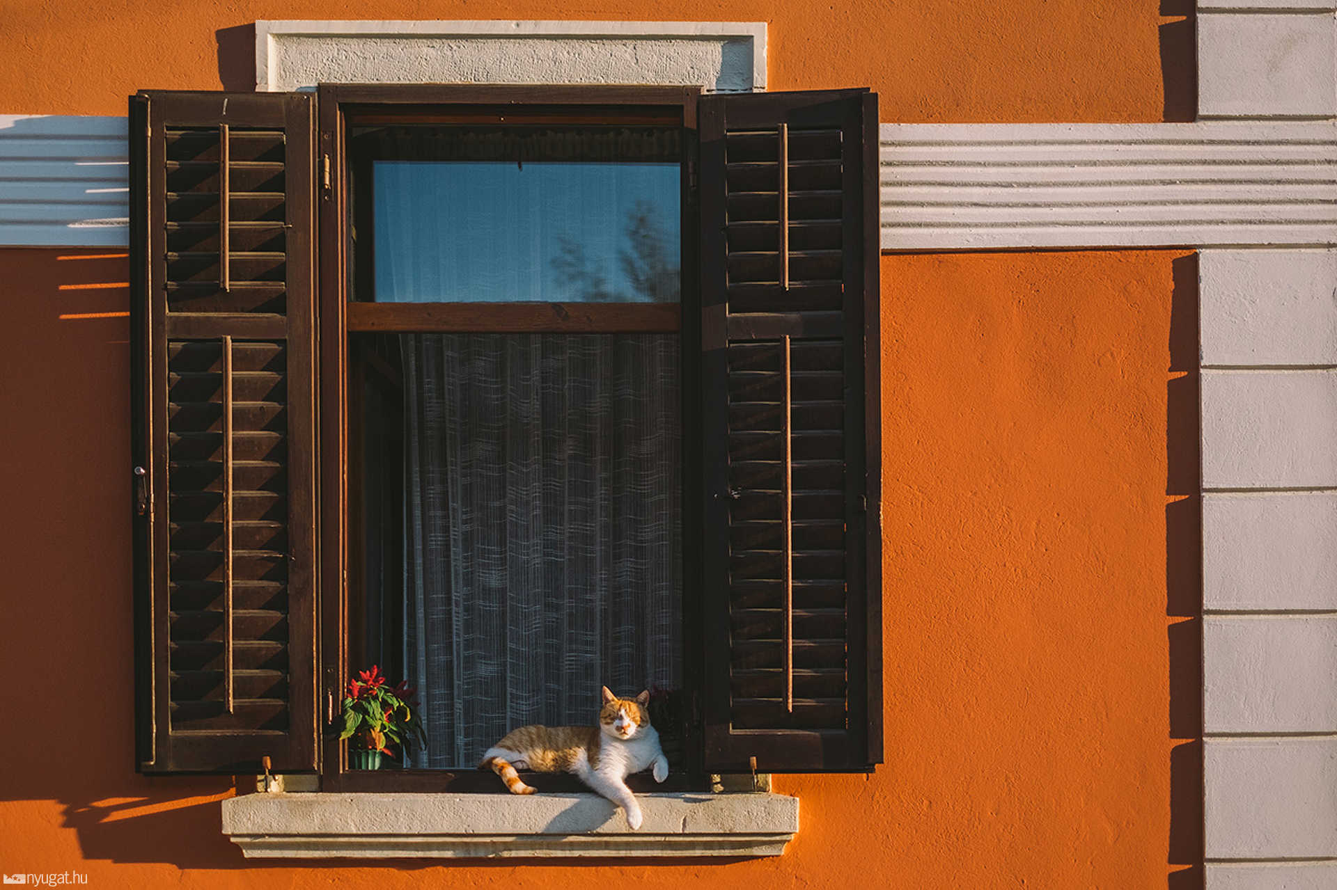 Rovinj