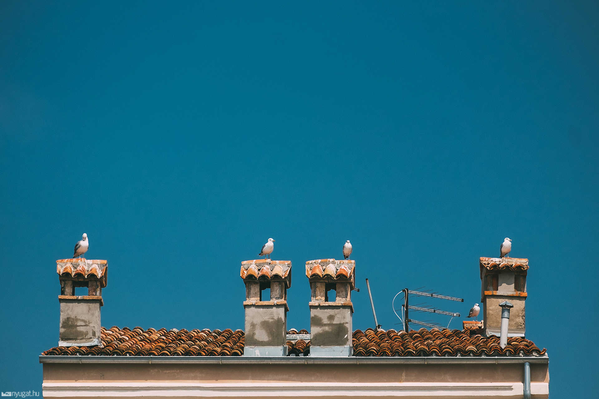 Rovinj