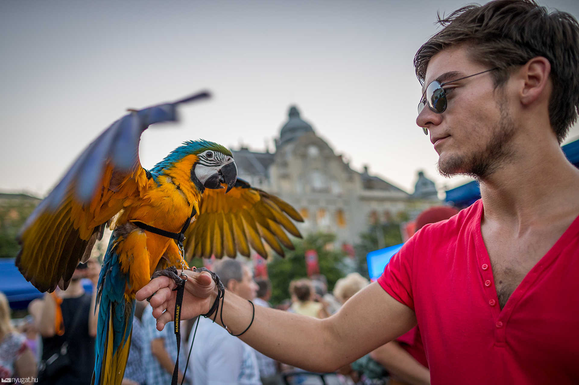 Merlin a karneválon