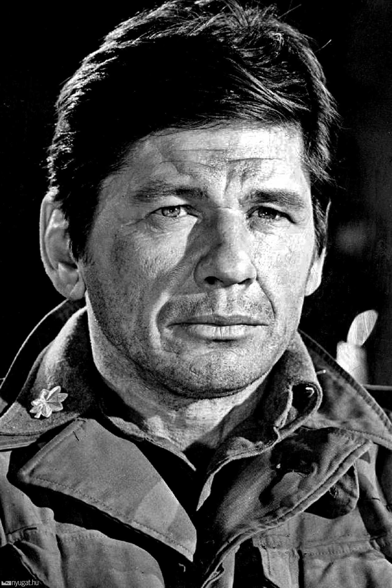 Charles Bronson