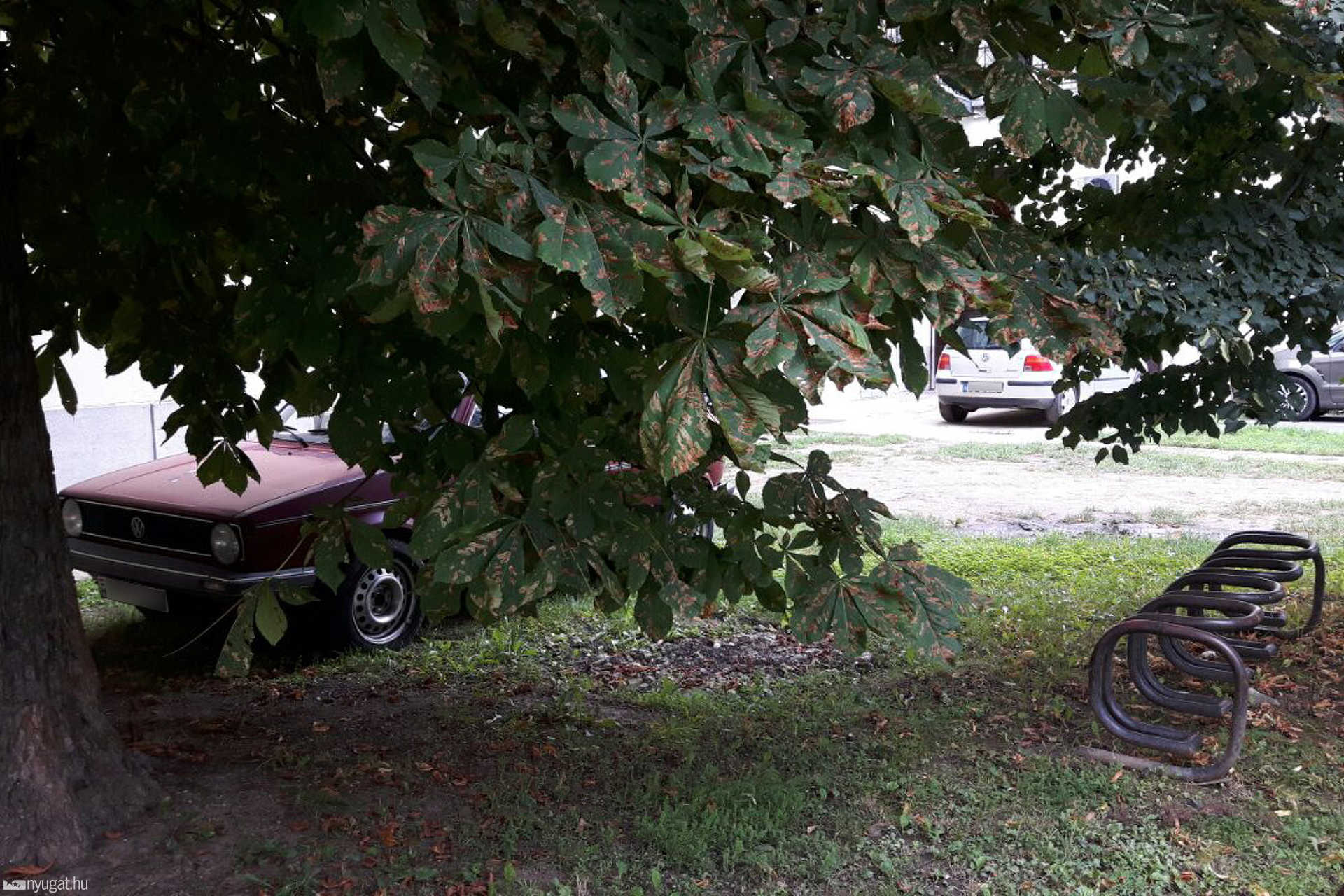 Variációk egy témára: szabálytalan parkolás a Király utcában