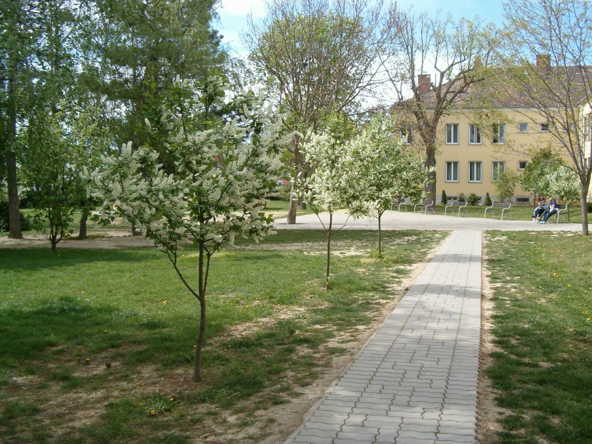 Az udvar