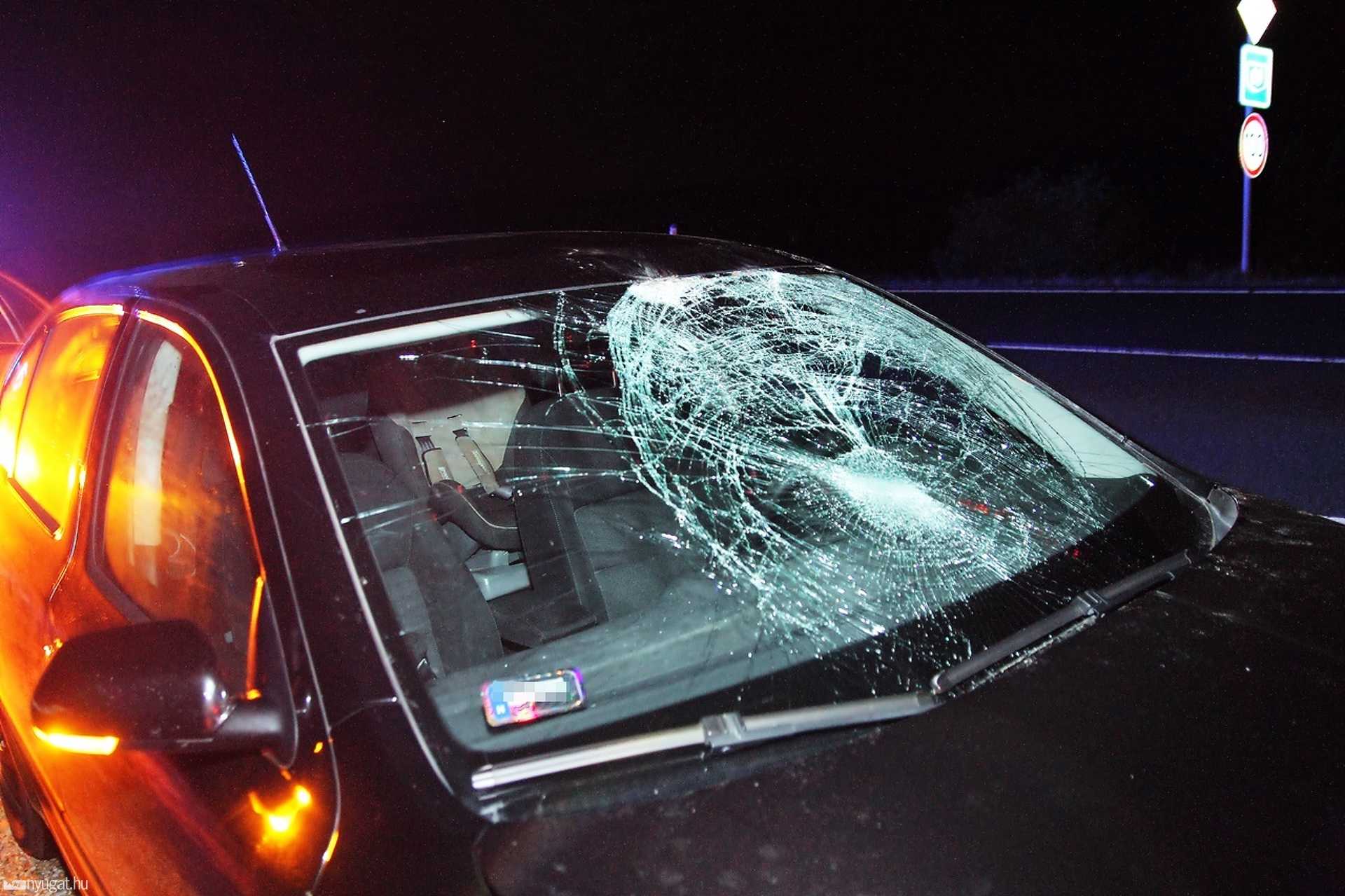 Szarvast gázolt egy Skoda Bucsunál