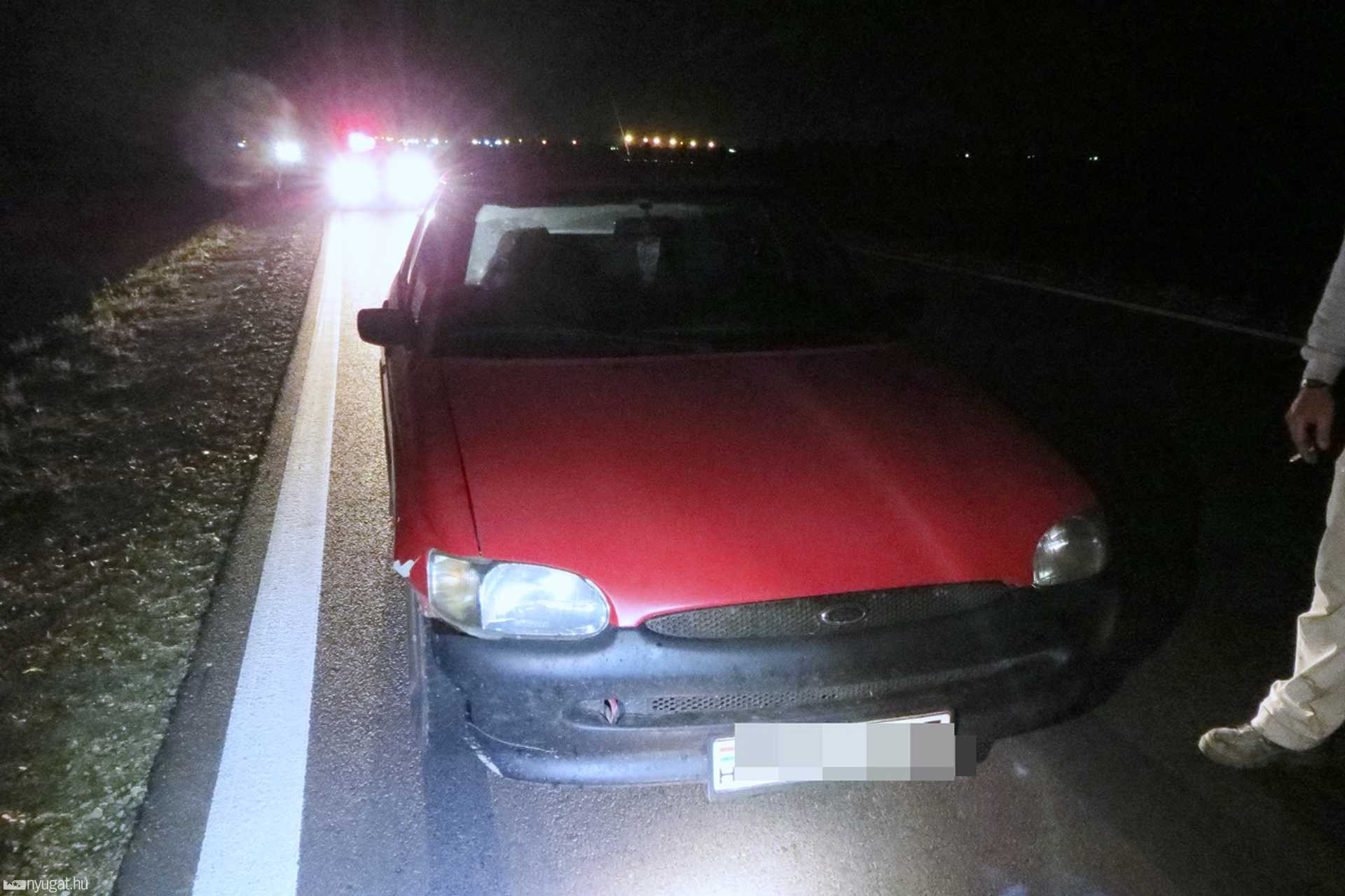 Vaddisznót ütöttek el Magyarszecsődnél a 8-as úton