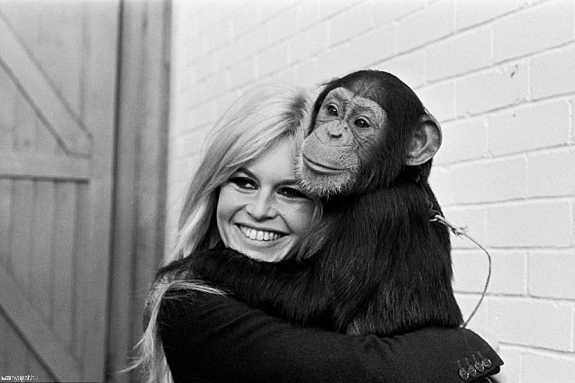  1986-ban Saint Tropez-ban létrehozta a Brigitte Bardot Állatvédő Alapítványt