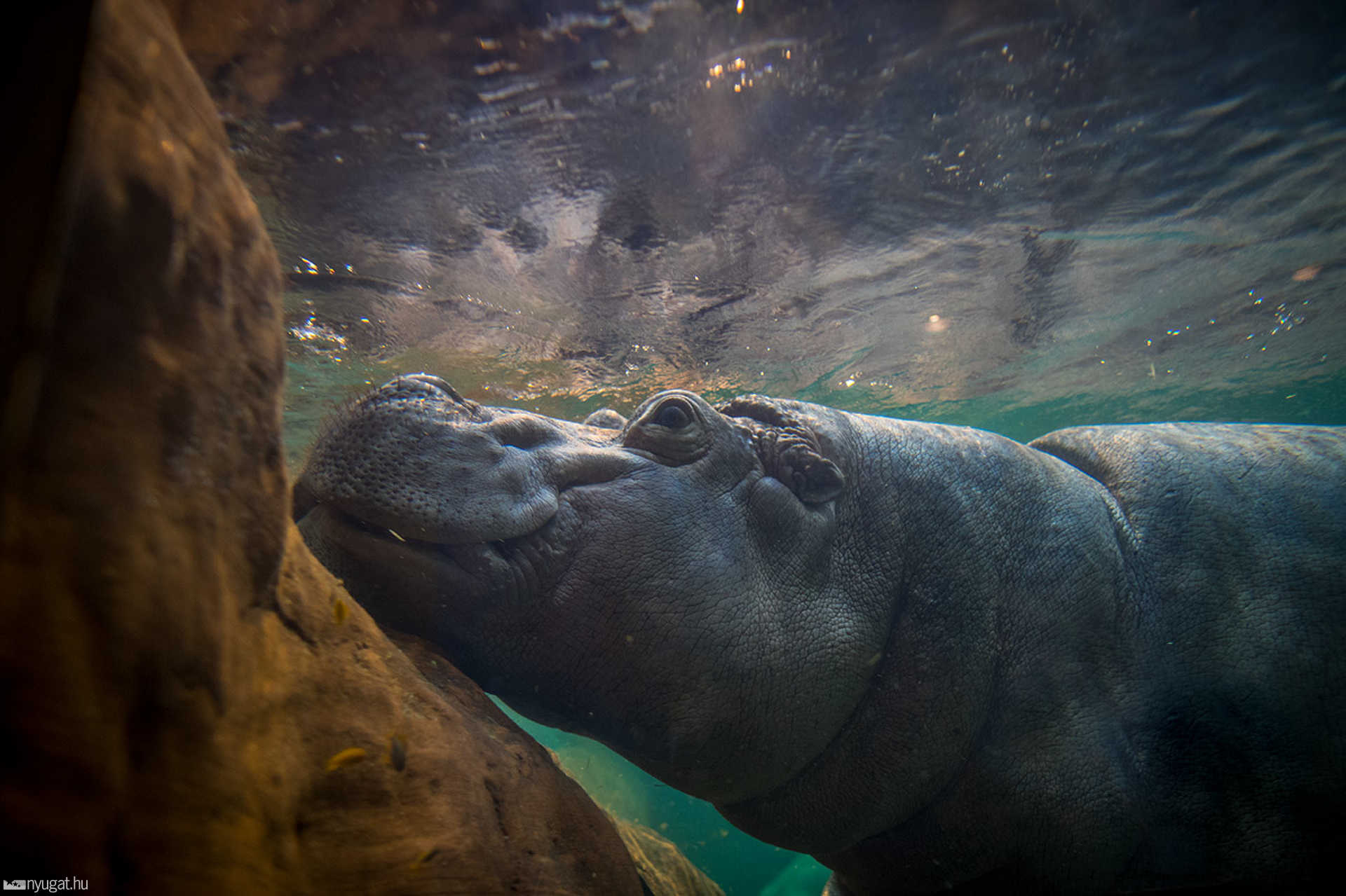 Adventure Aquarium - Philadelphia