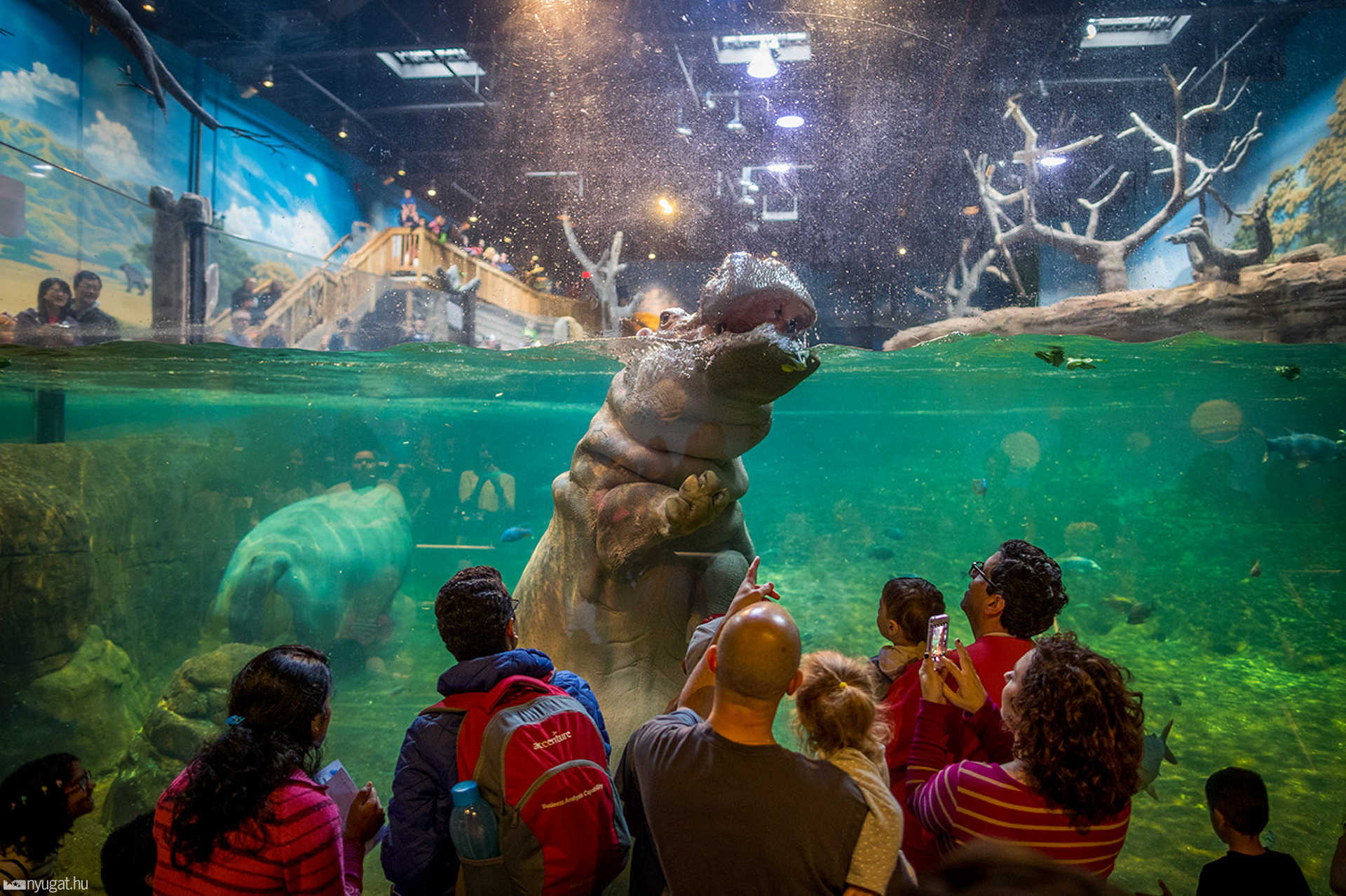 Adventure Aquarium - Philadelphia