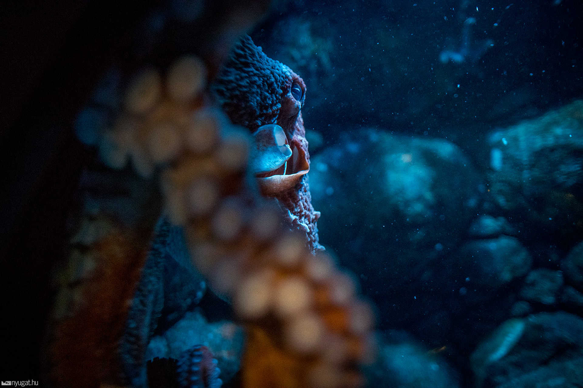 Adventure Aquarium - Philadelphia