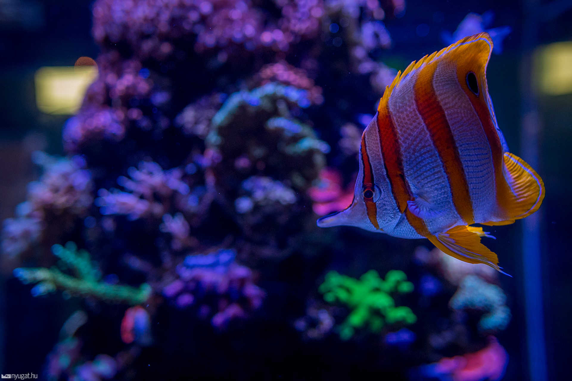 Adventure Aquarium - Philadelphia