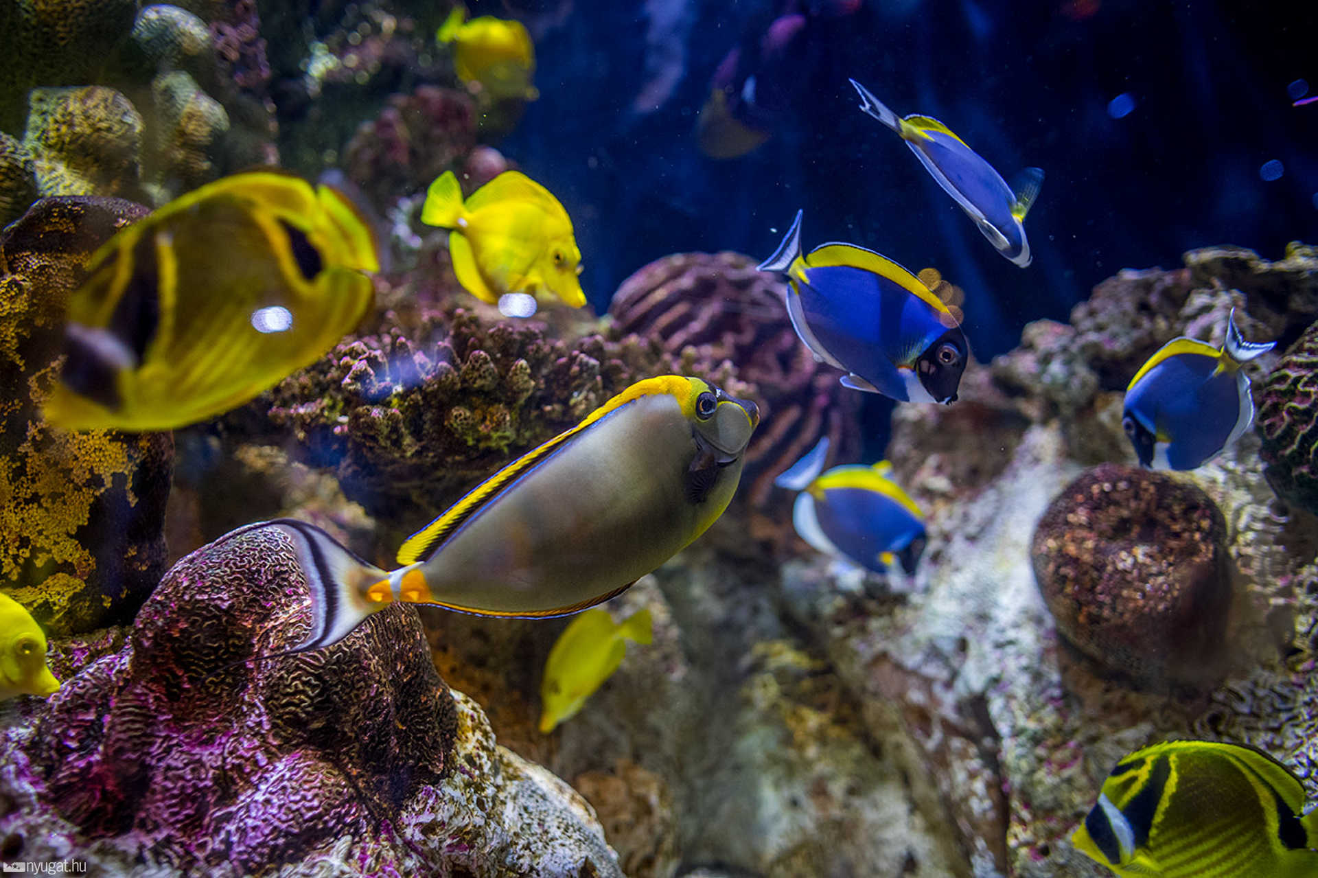 Adventure Aquarium - Philadelphia