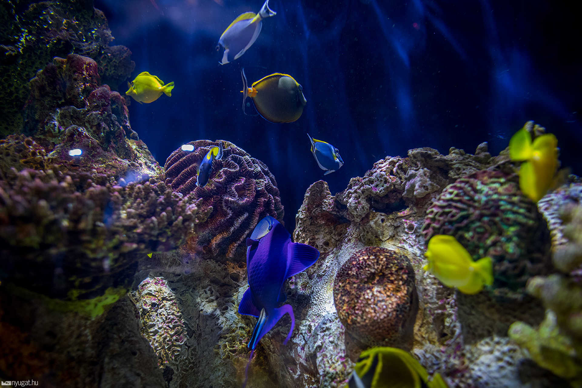 Adventure Aquarium - Philadelphia