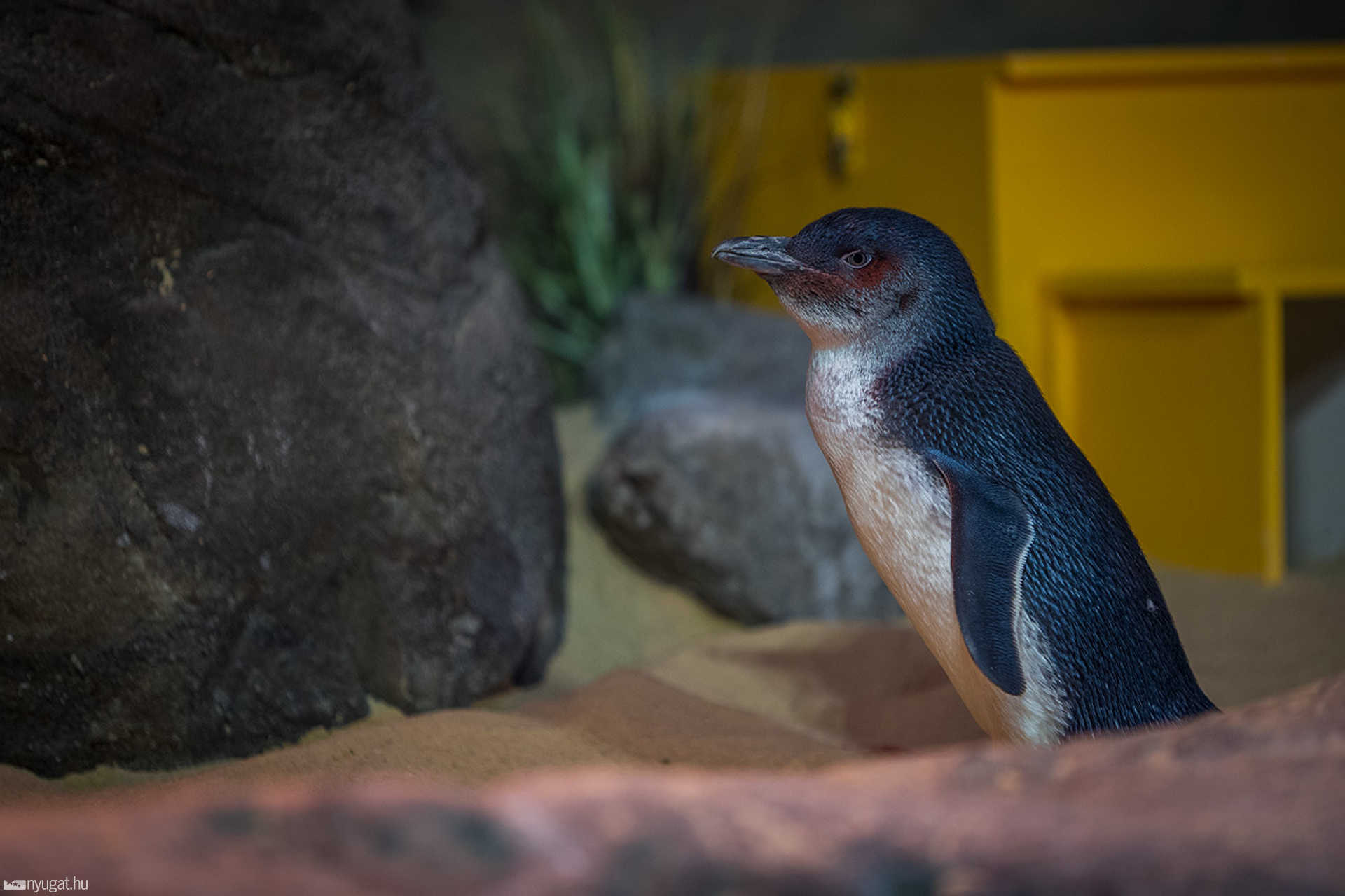 Adventure Aquarium - Philadelphia