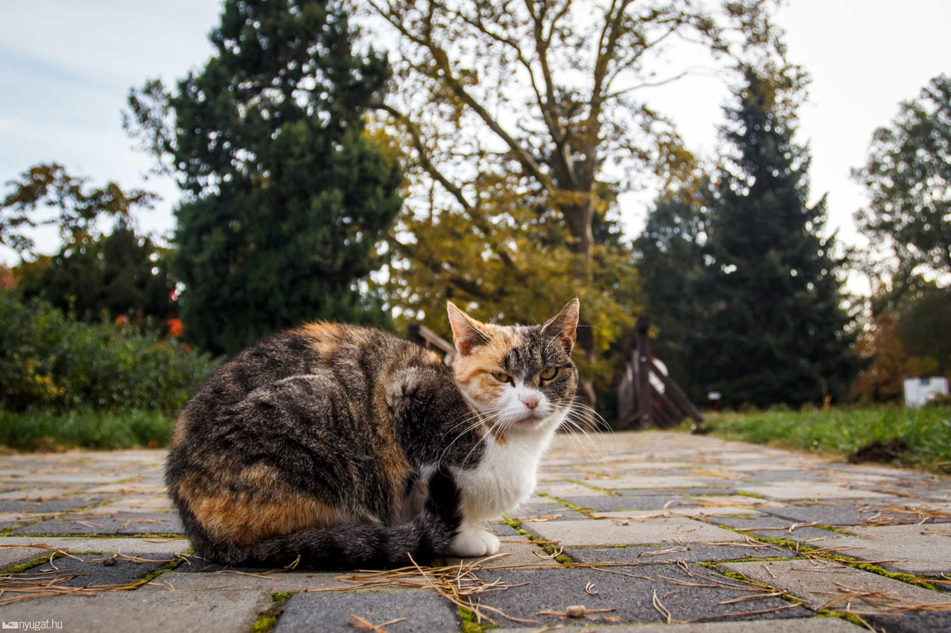 Ősz a Kámoni Arborétumban