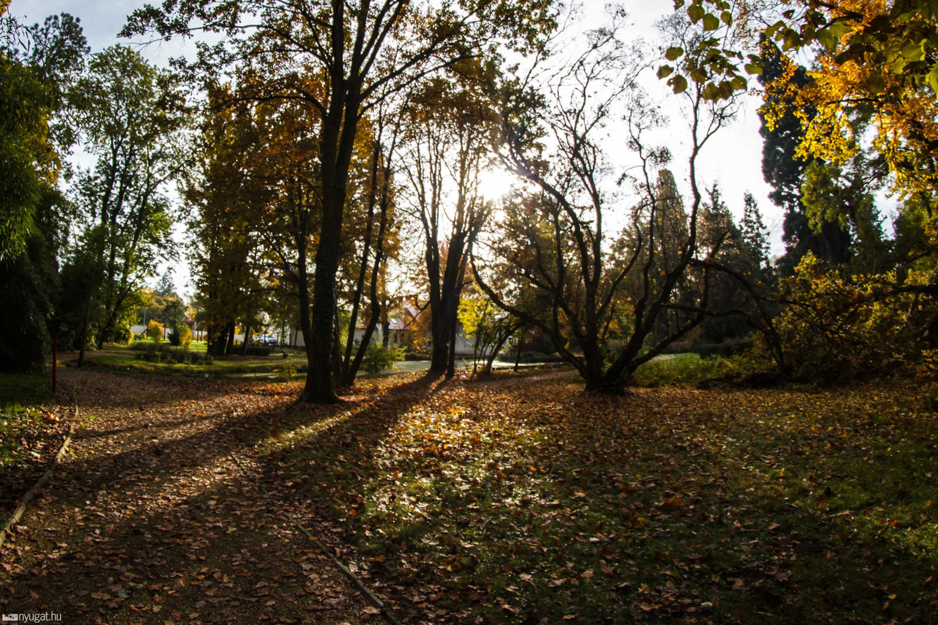 Ősz a Kámoni Arborétumban