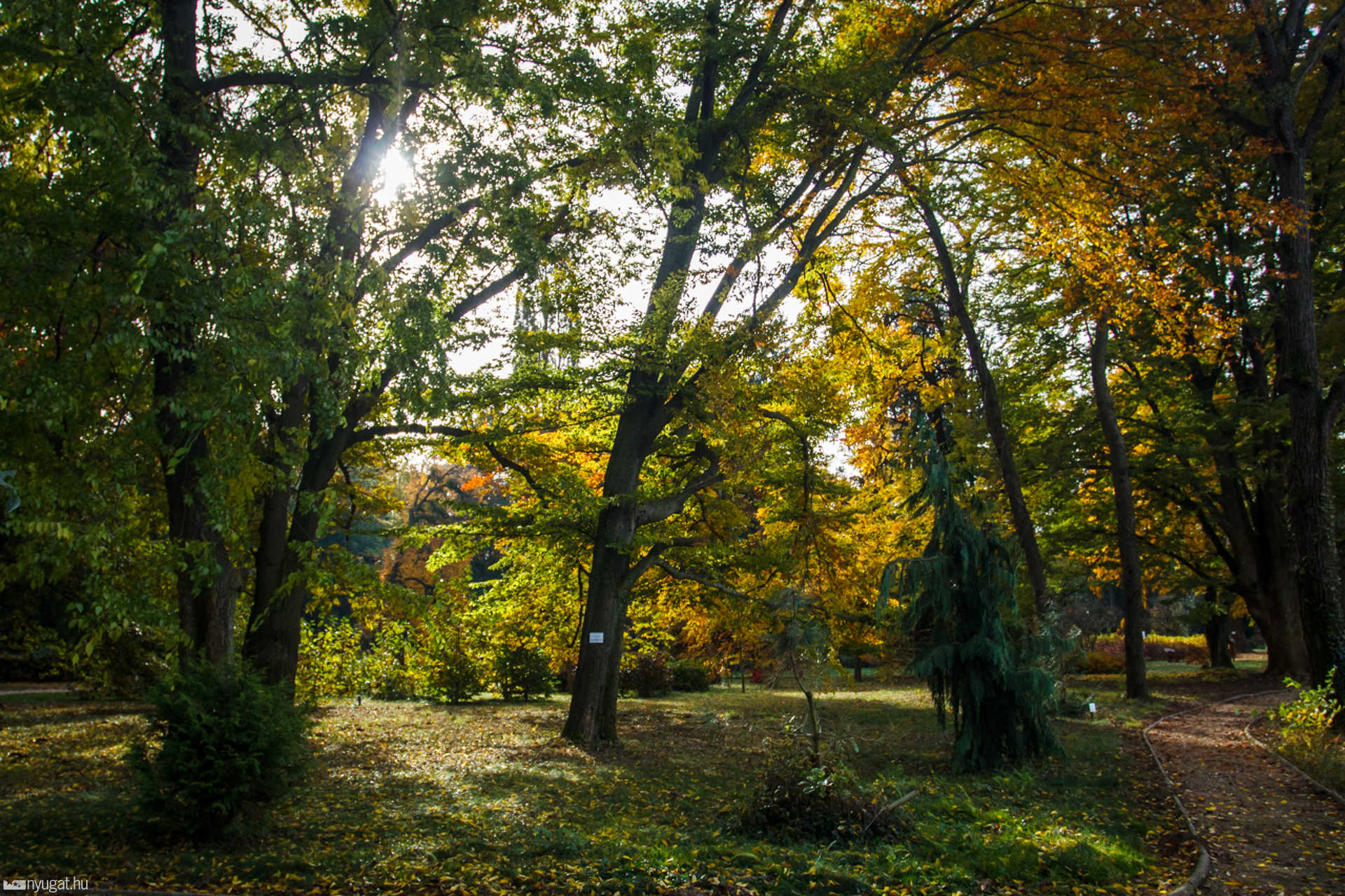 Ősz a Kámoni Arborétumban