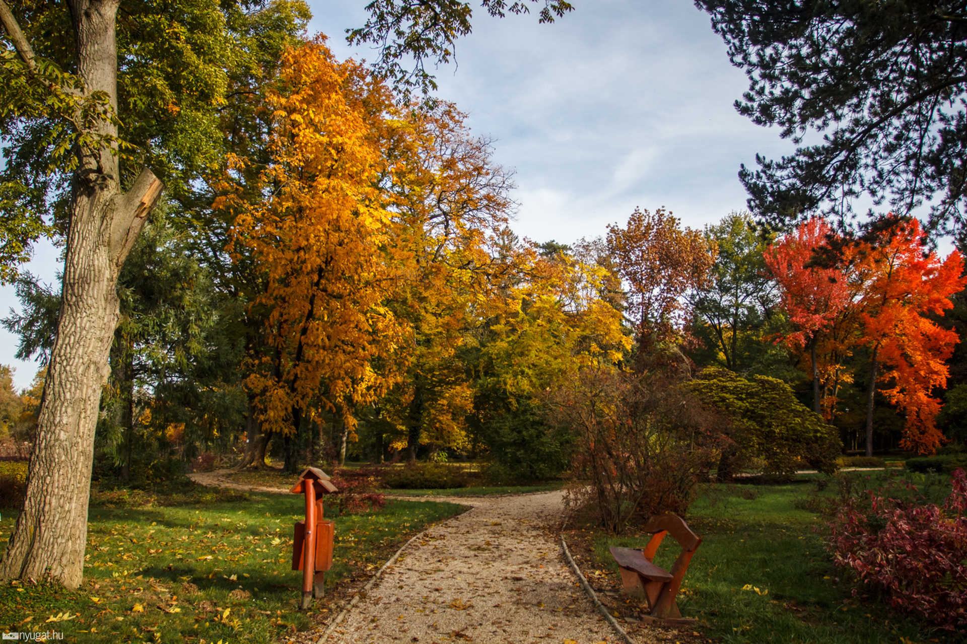 Ősz a Kámoni Arborétumban
