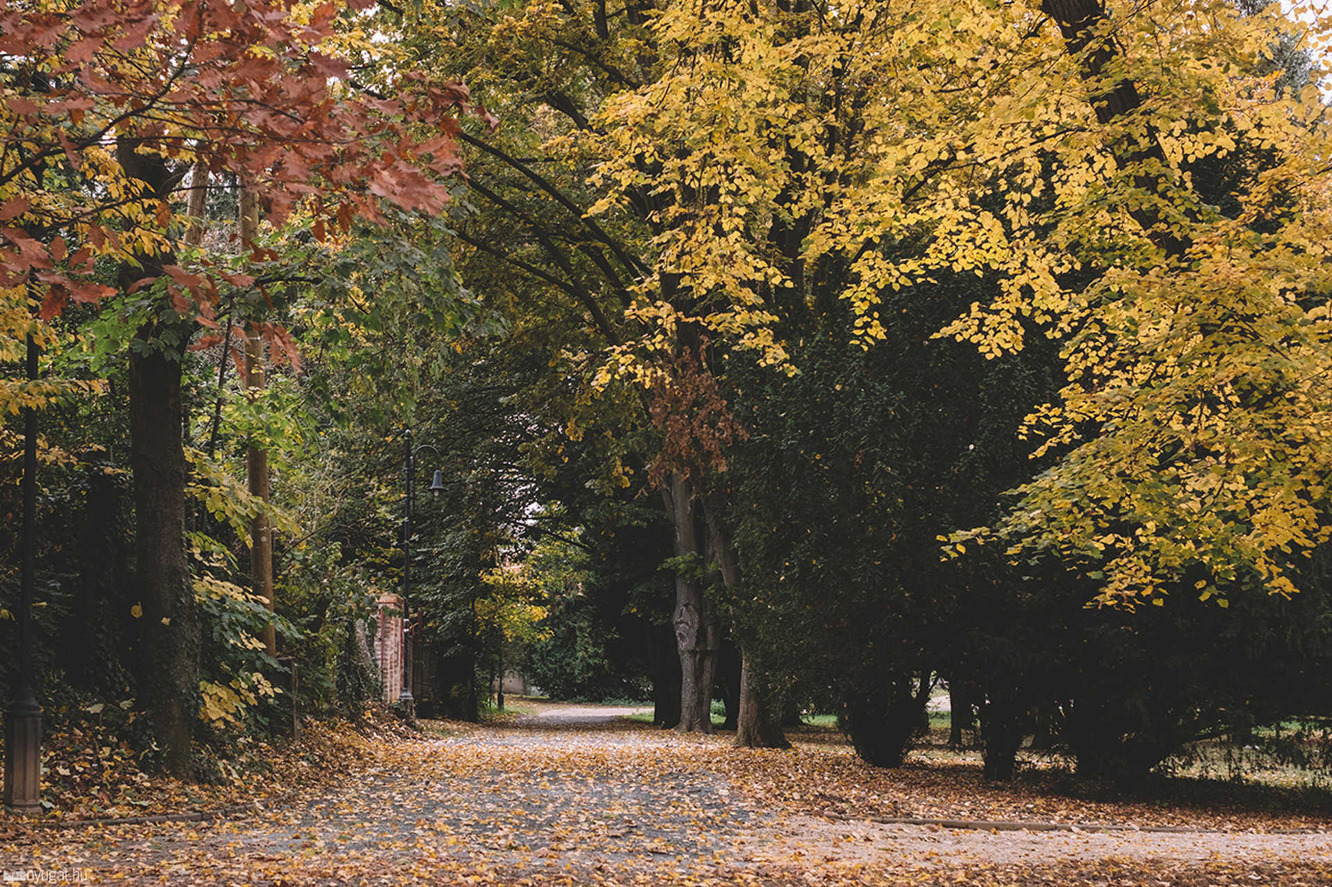 Ősz a Szent István parkban