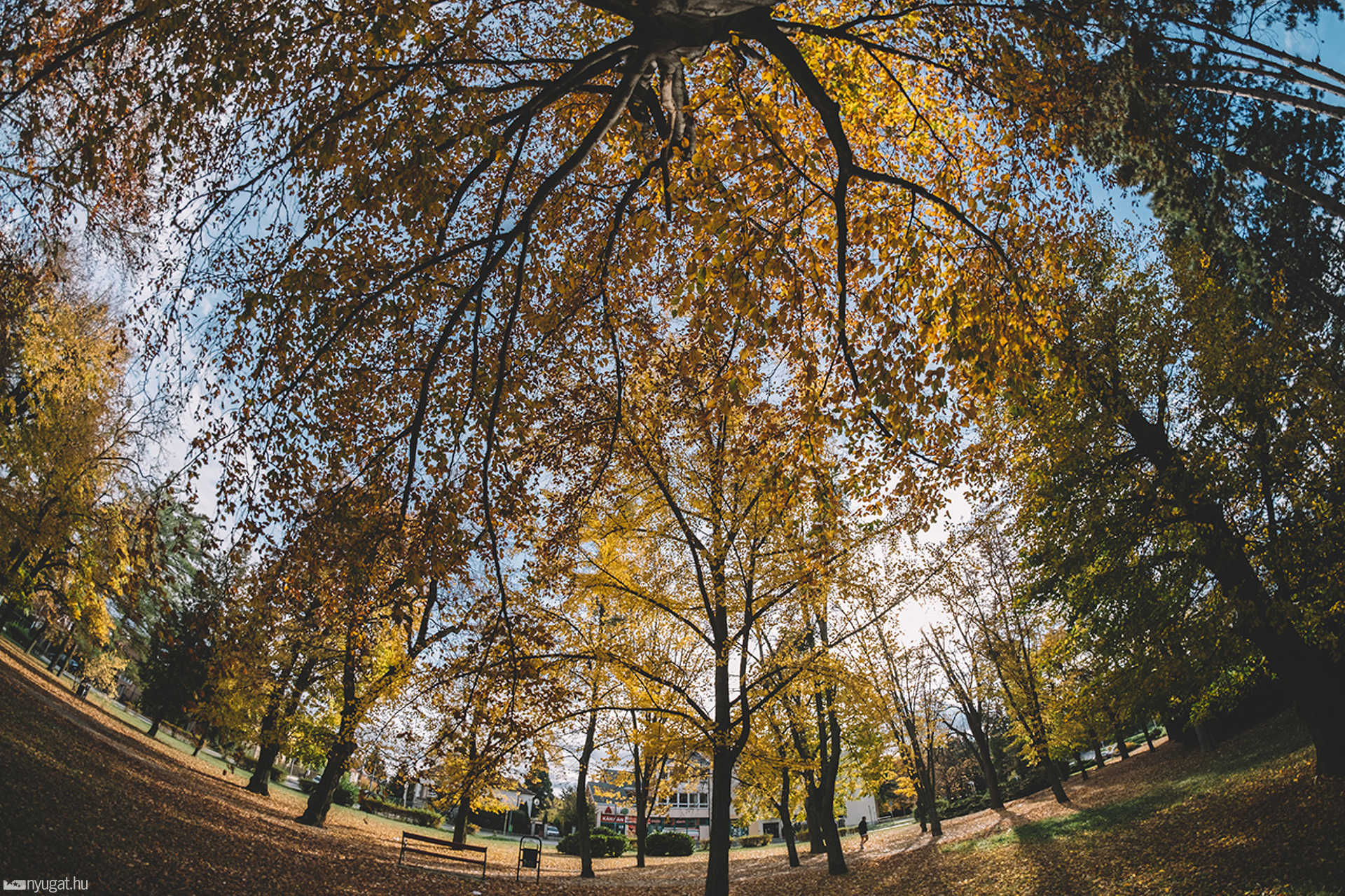 Ősz az Ezredévi parkban