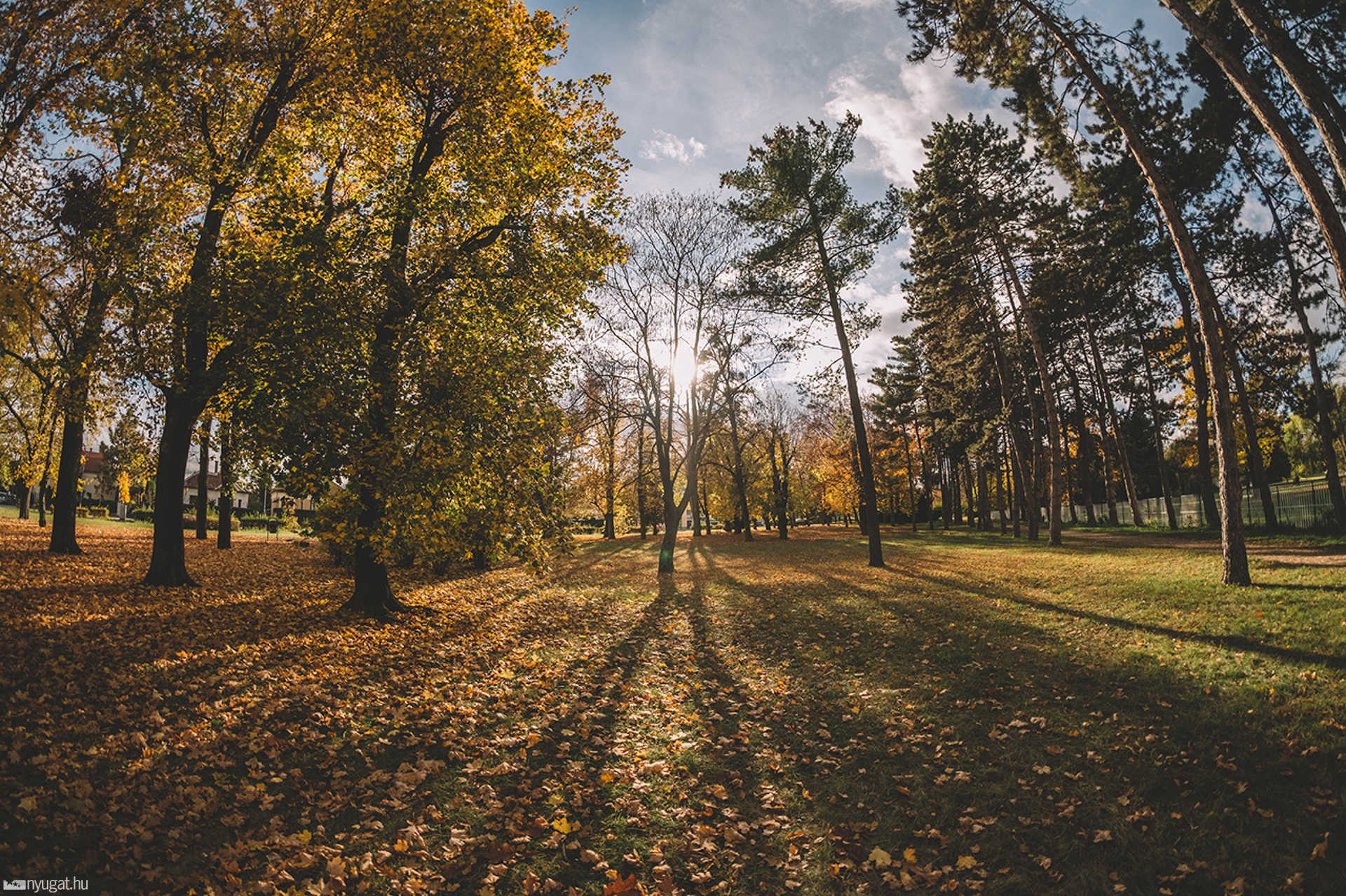 Ősz az Ezredévi parkban
