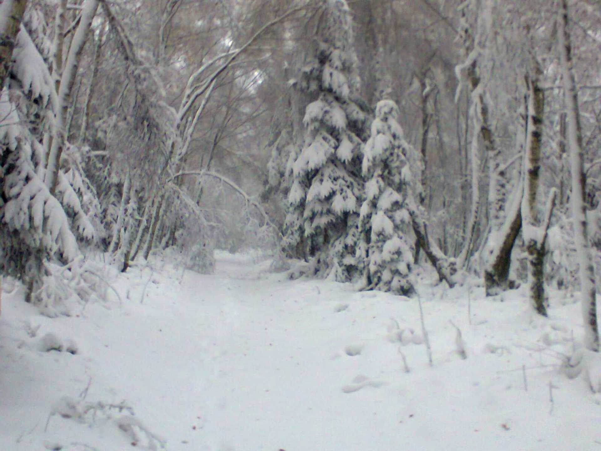 Novemberi hó az Írottkőn 