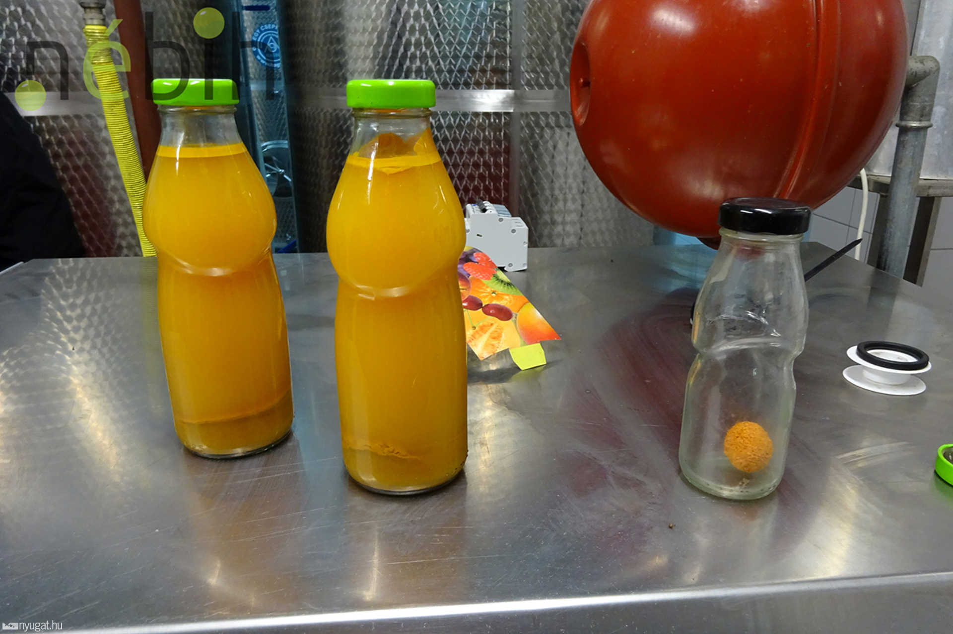 Csaknem 100 ezer liter lejárt almalevet foglalt le a NÉBIH