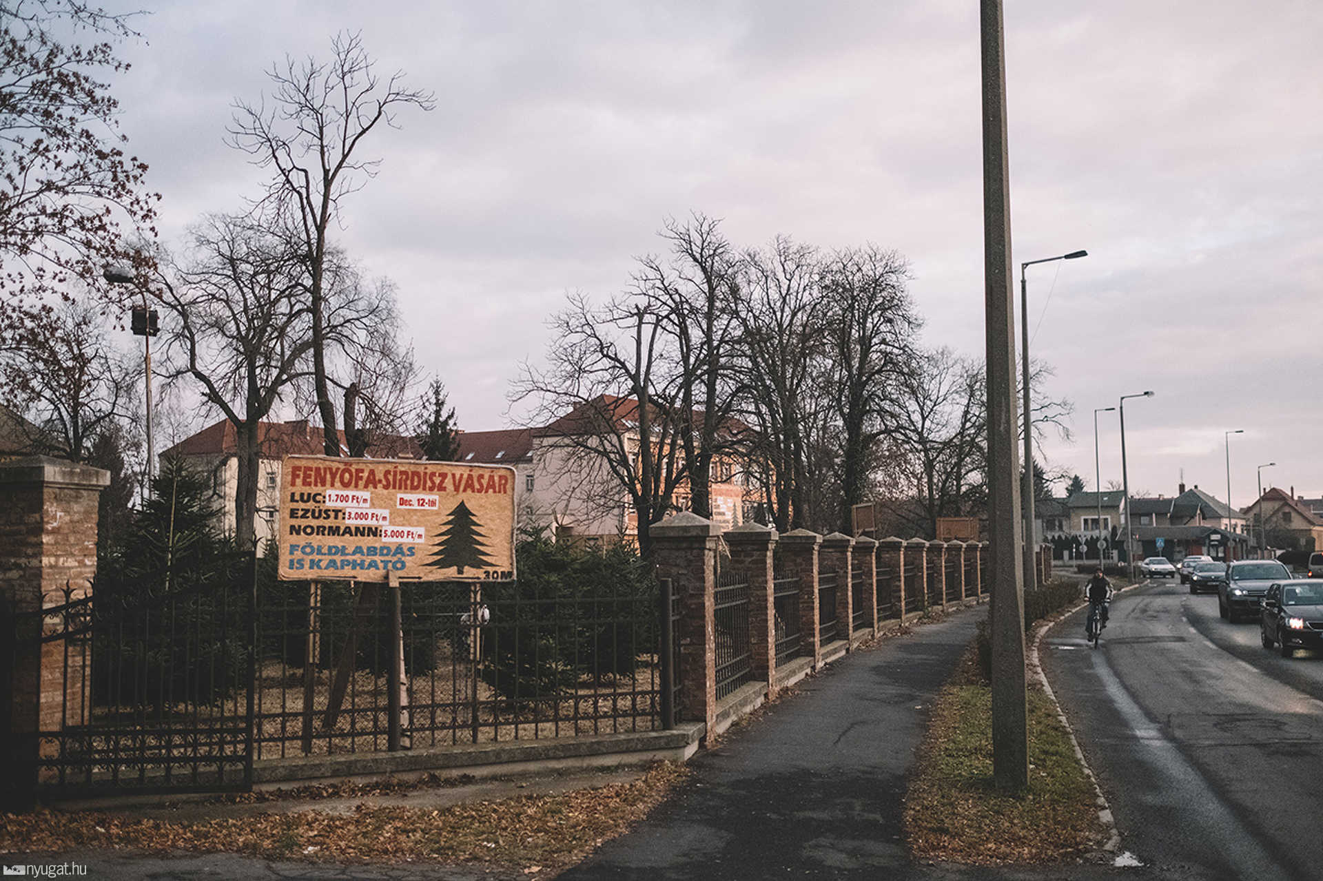 Fenyőfaárus a 11-es Huszár úton