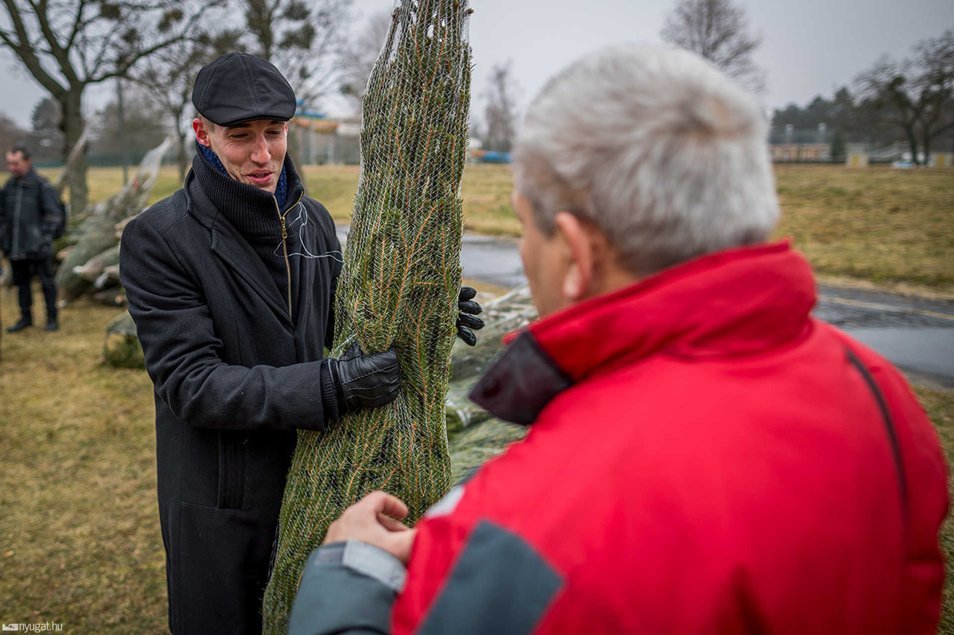 Fenyőfát osztott Horváth Soma és Kopcsándi József képviselő a Derkovits lakótelepen