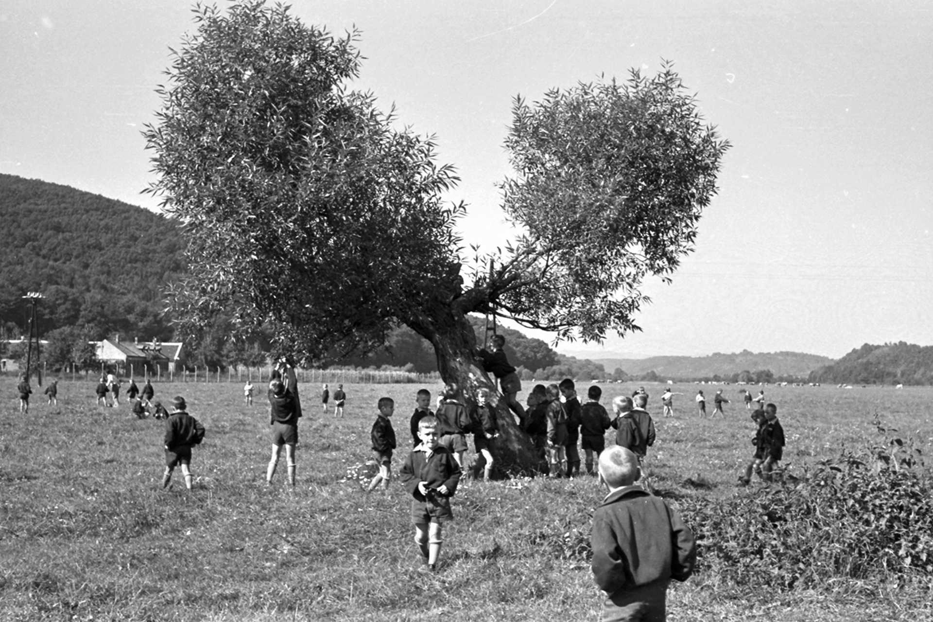 Andalgói rét, 1957.
