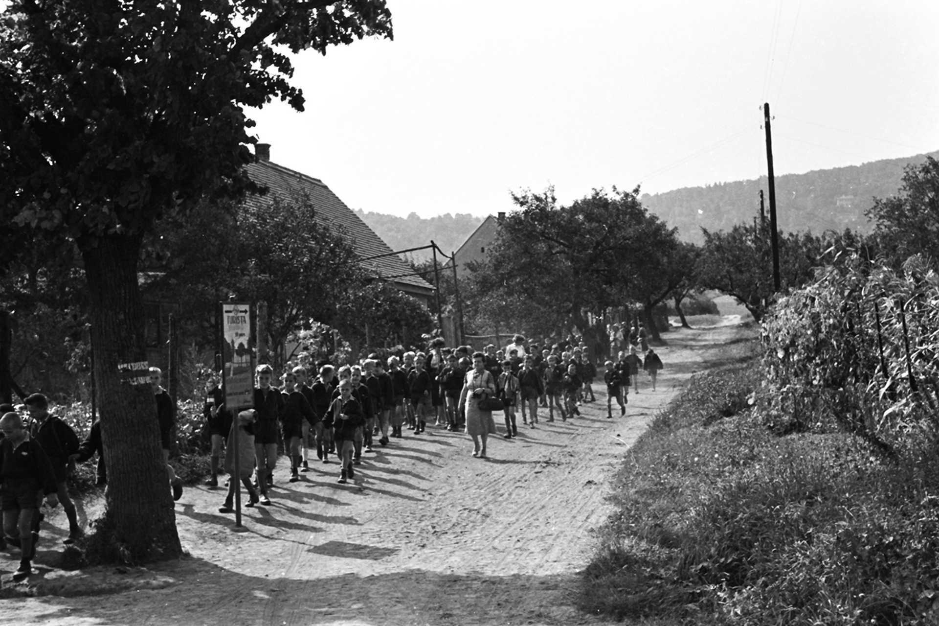 Hermina utca, háttérben a Szabó-hegy, 1958.
