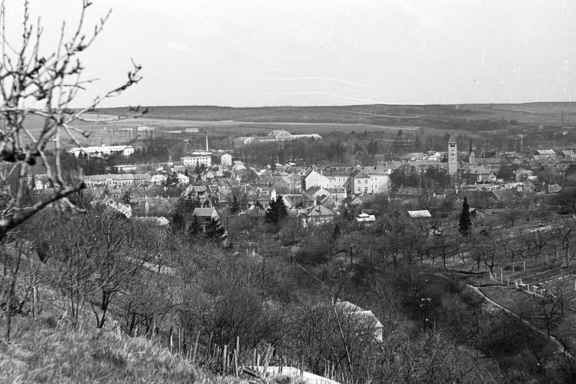 Látkép a Szultán tetőről. Jobbra a Királyvölgy, háttérben az evangélikus templom, 1968.