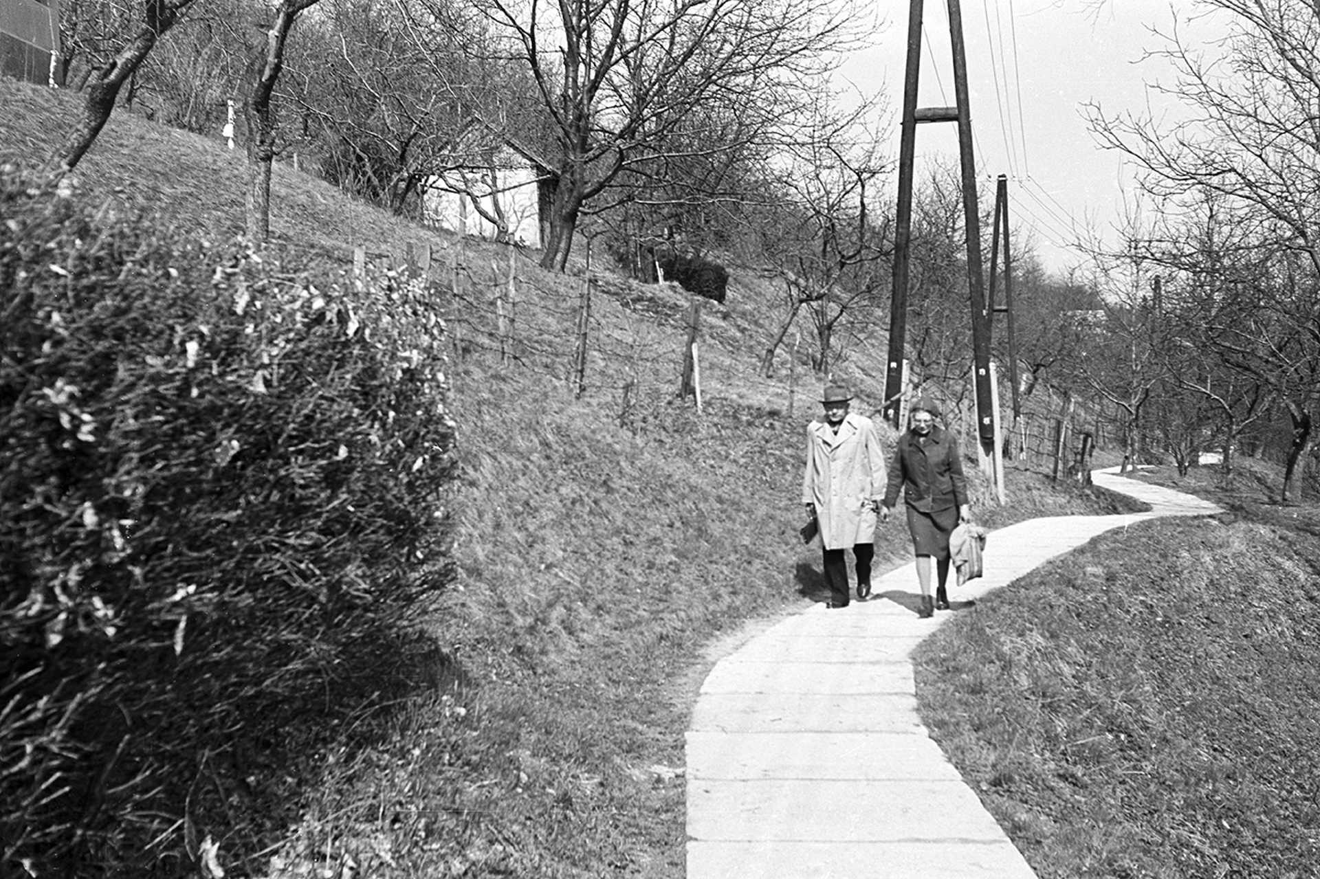 Királyvölgy, 1968.