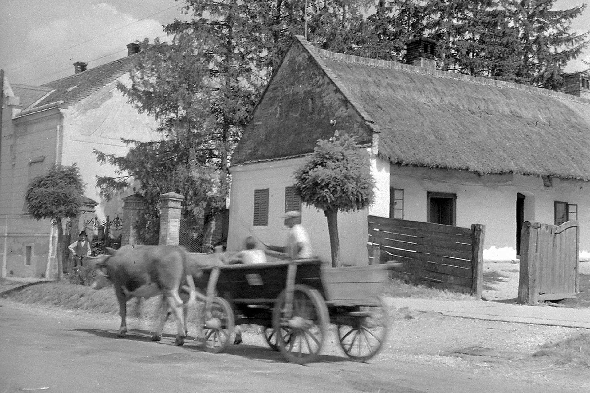 Alkotmány utca 45., 1952.