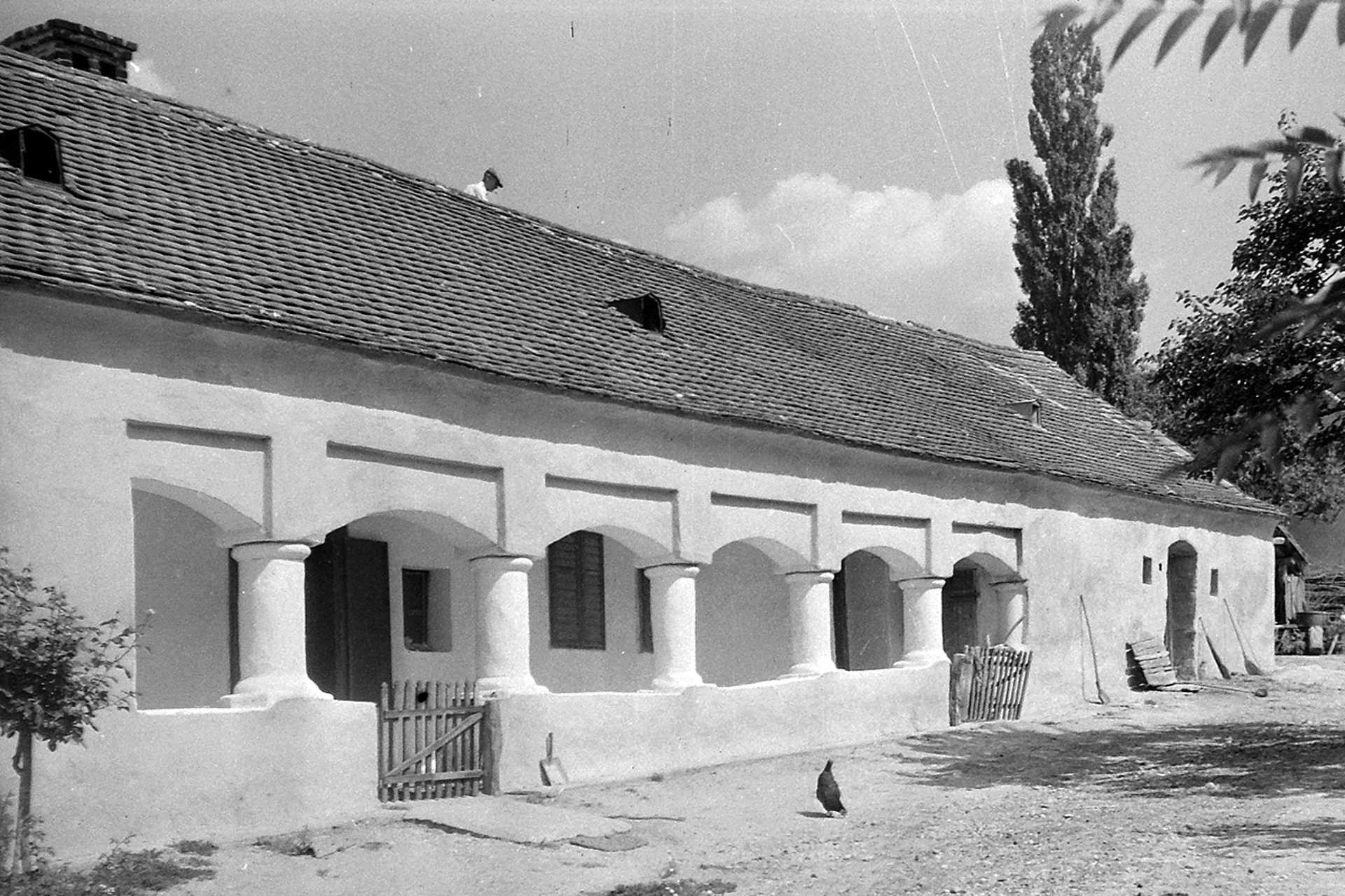 Alkotmány utca 49., 1952.