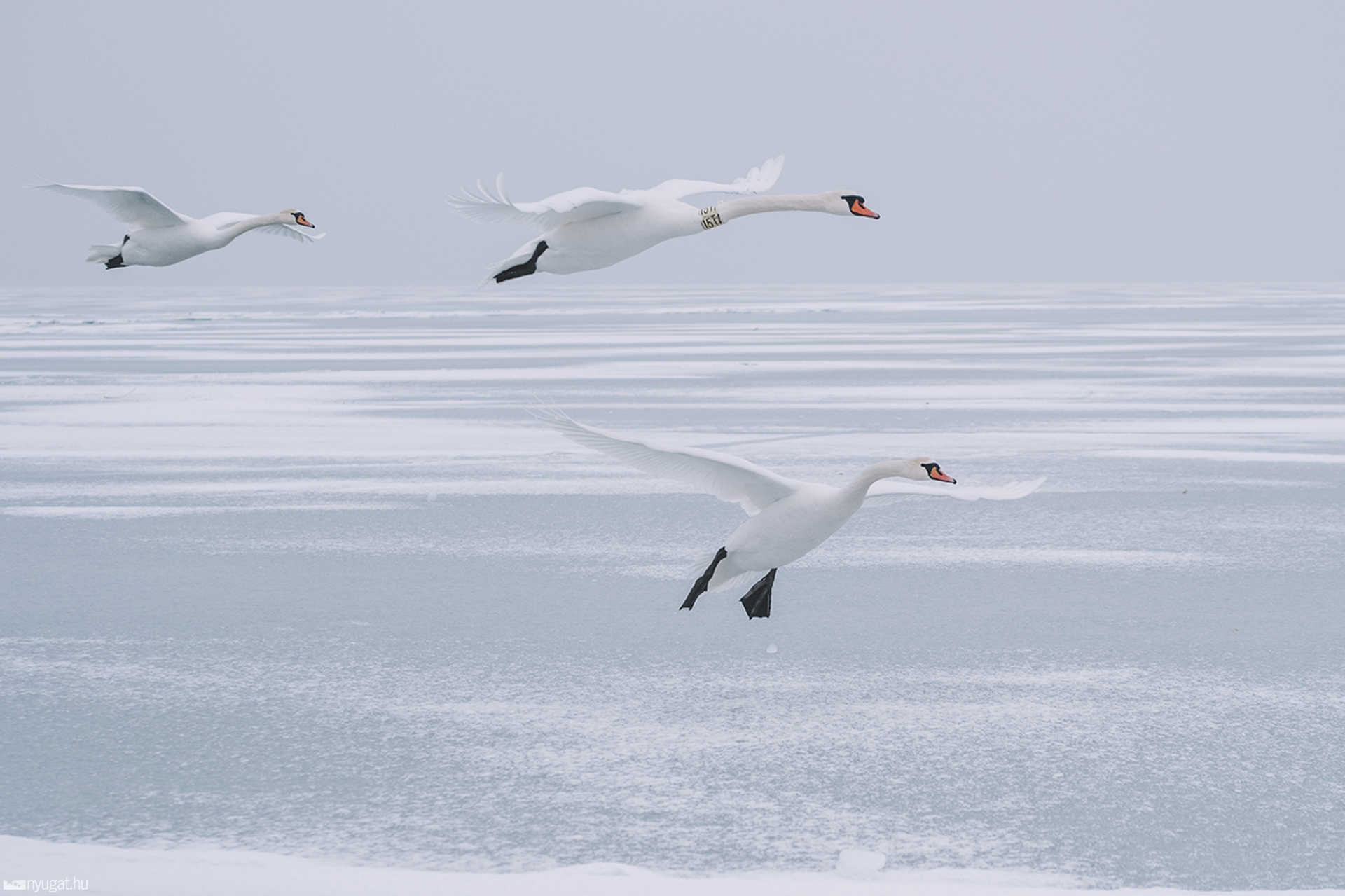 Jeges Balaton