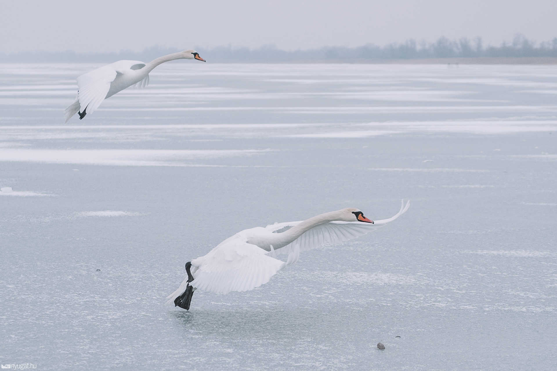Jeges Balaton